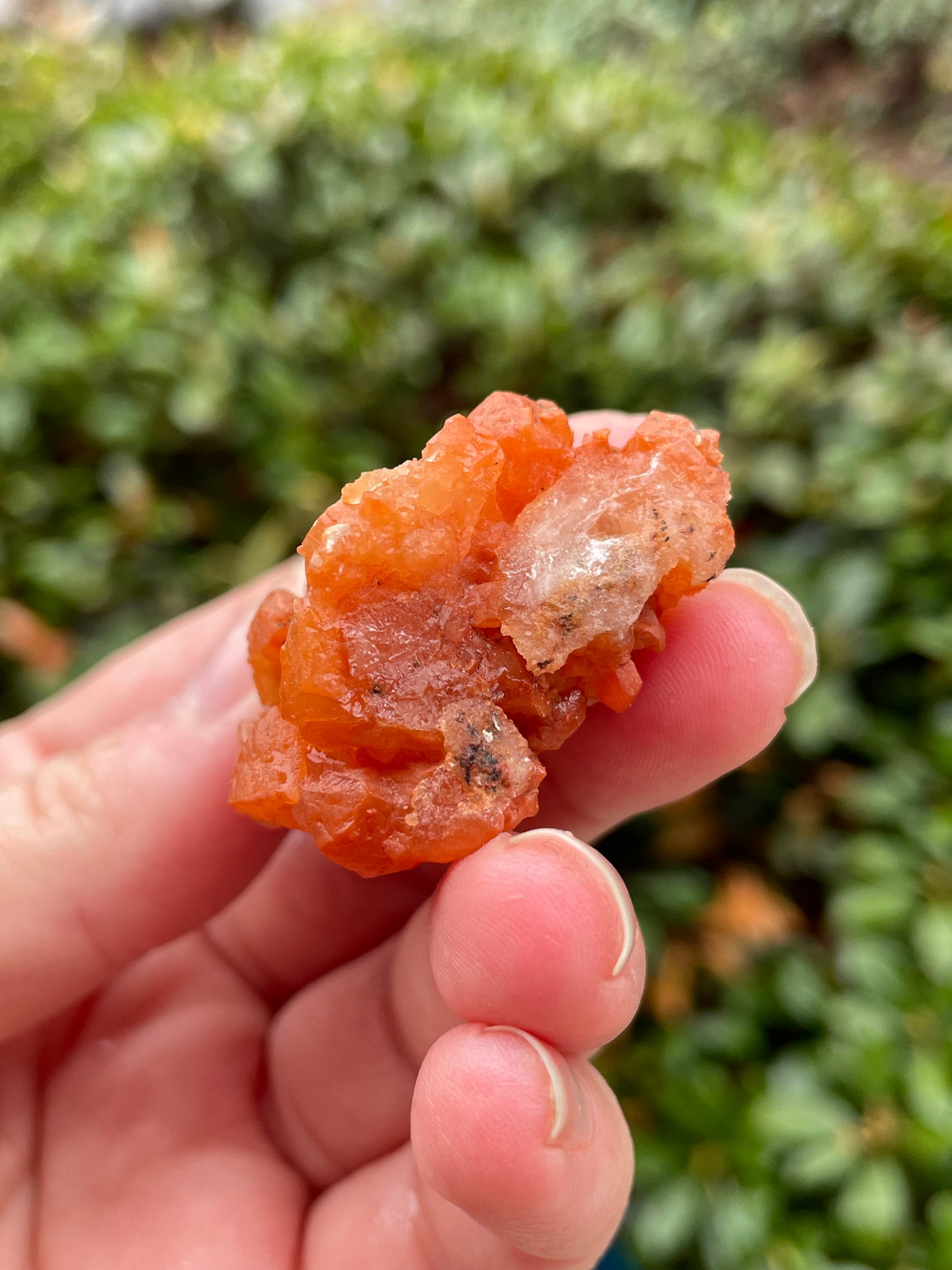 Orange Calcite Crystal Cluster