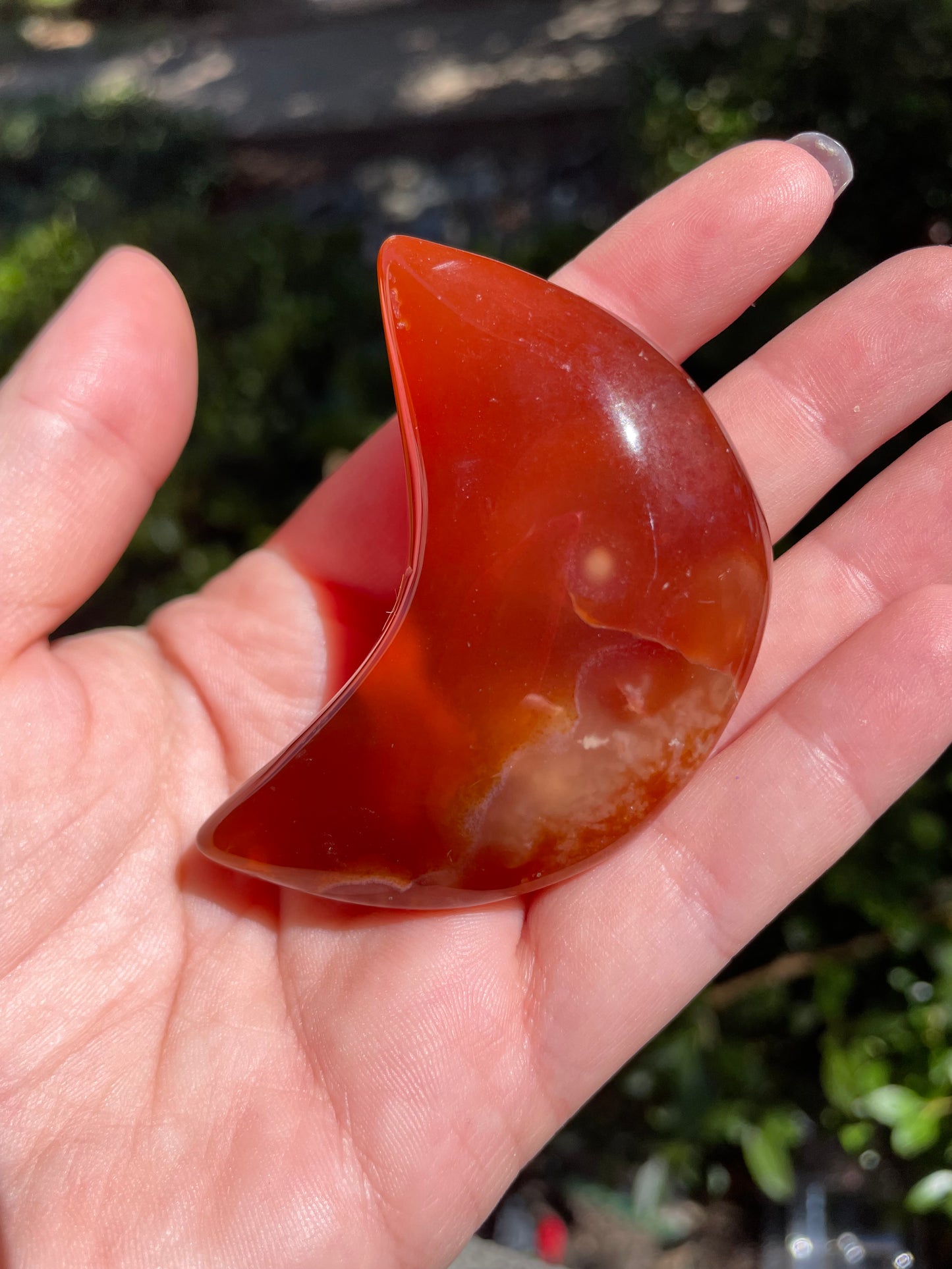 Carnelian 🌙 Crescent Moon Crystals