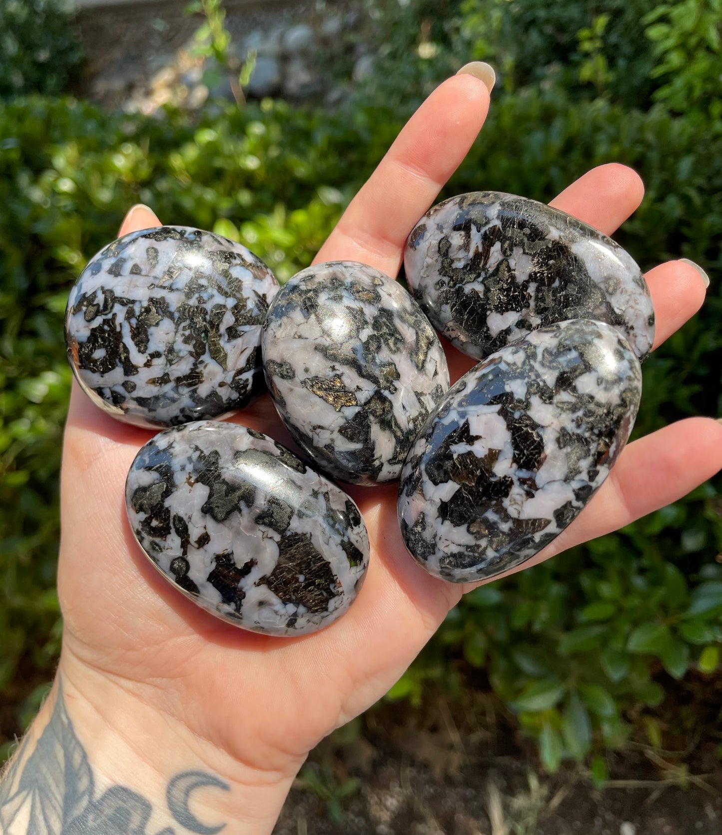 Indigo Gabbro “Mystic Merlinite” Crystal Palm Stone