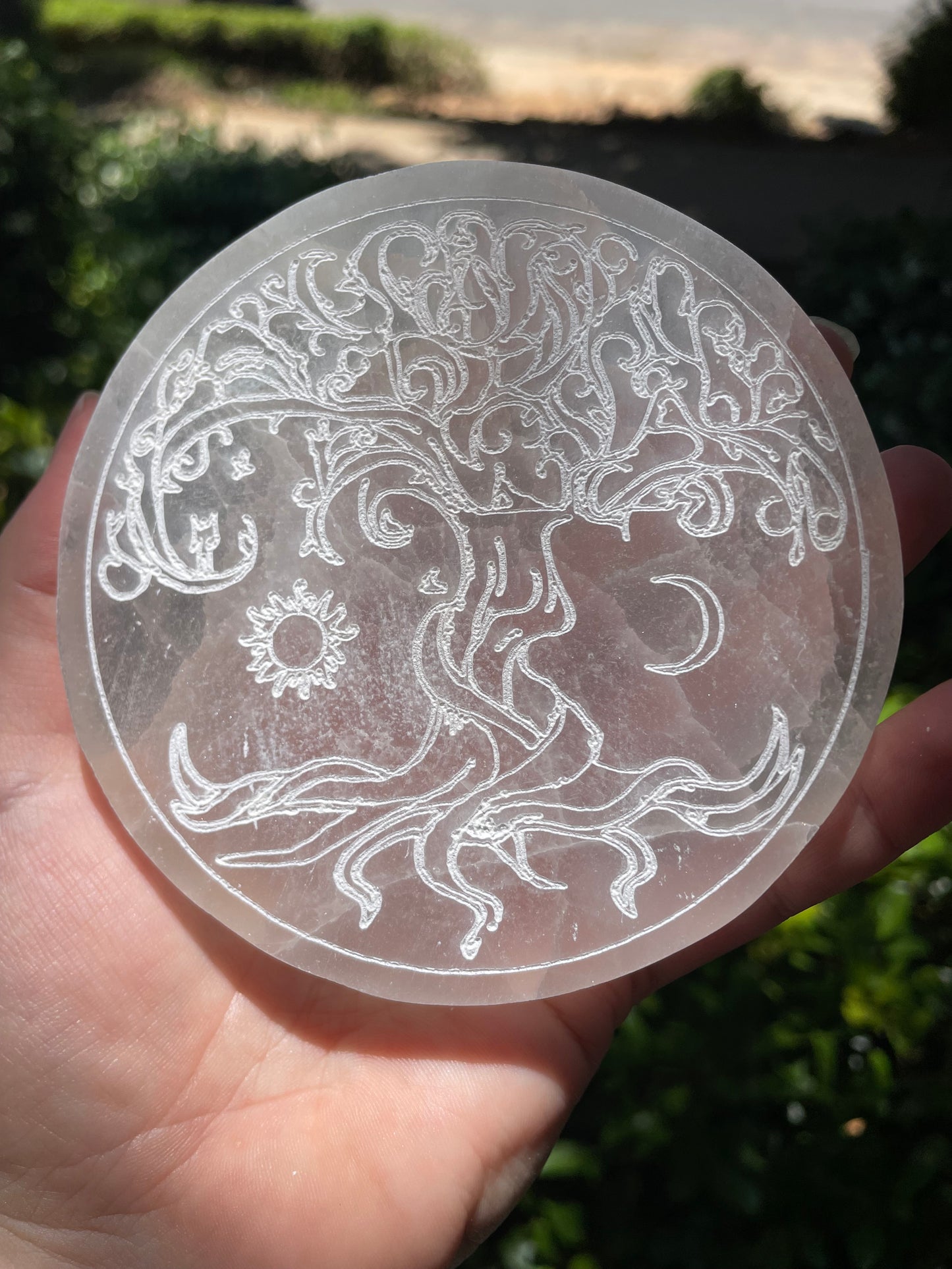 Tree of Life Satin Spar Selenite Crystal Charging Plate