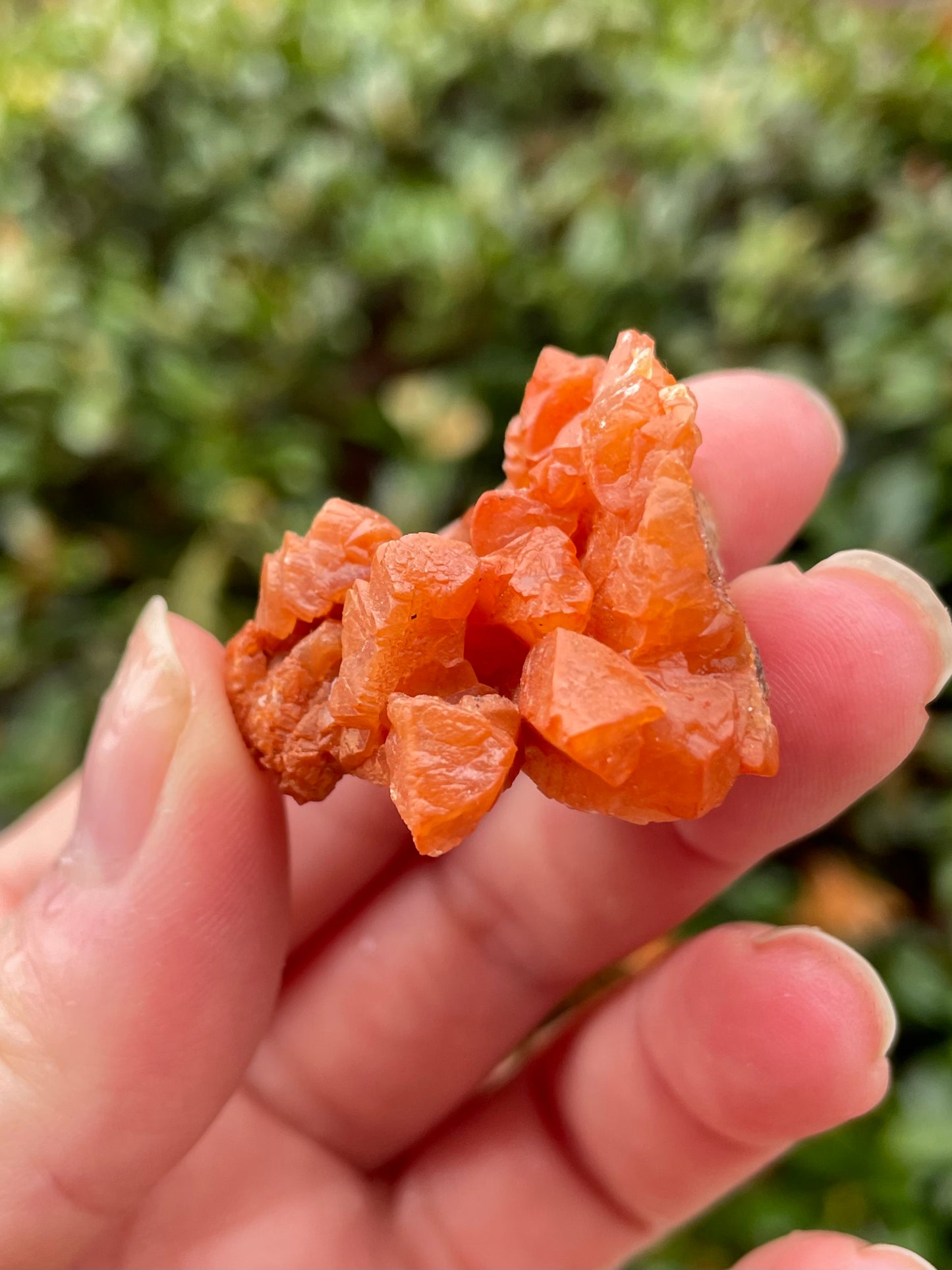 Orange Calcite Crystal Cluster