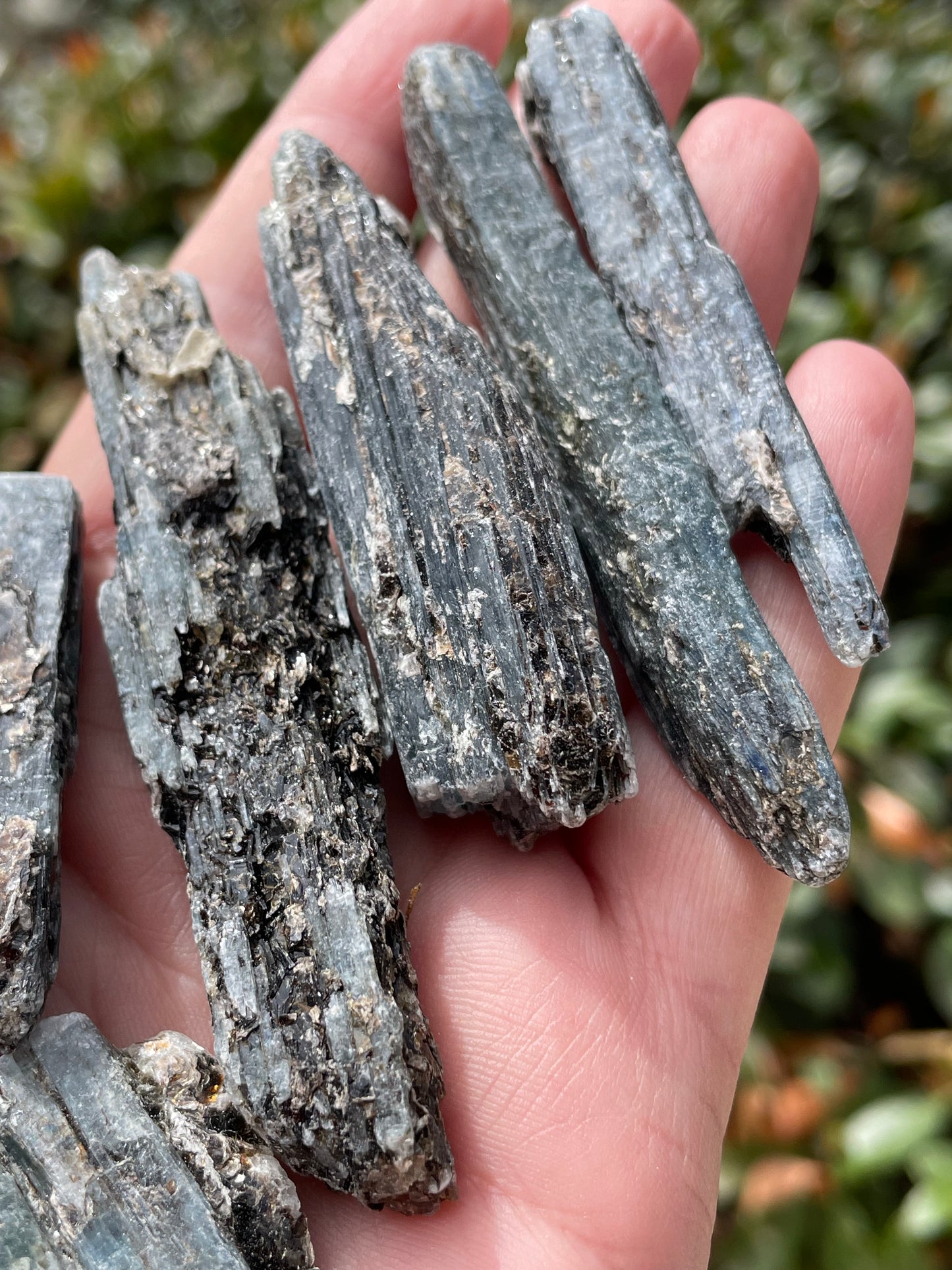 Indigo Blue Kyanite from Zimbabwe