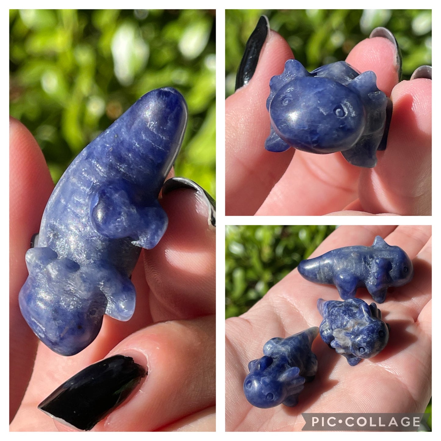 Sodalite Axolotl Crystal Carvings