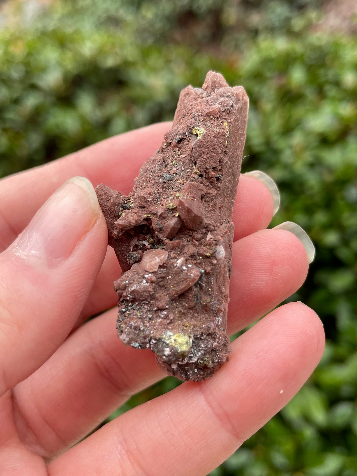 Red Hematite Quartz with Chalcopyrite