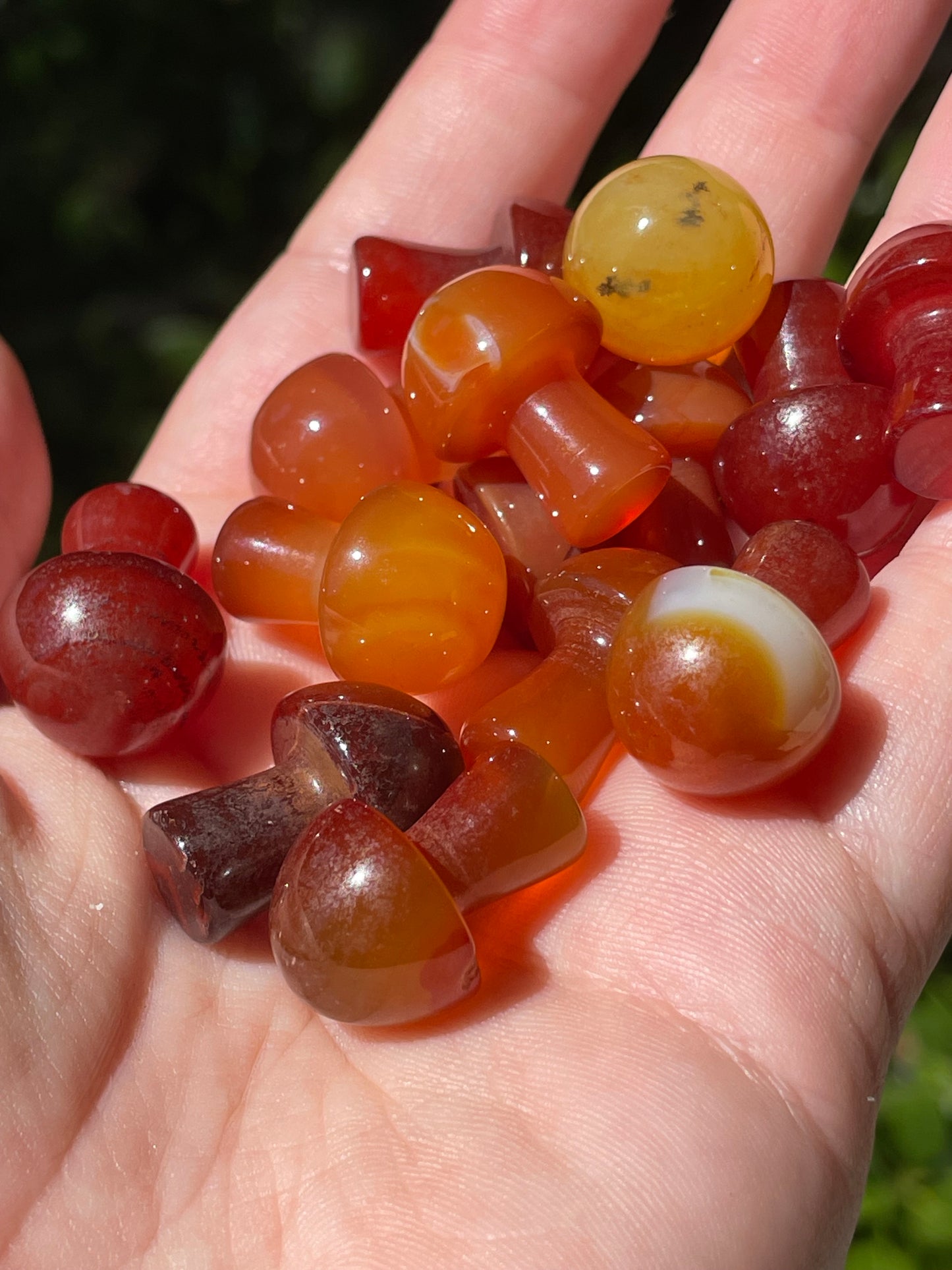 Mini Carnelian Crystal Mushrooms