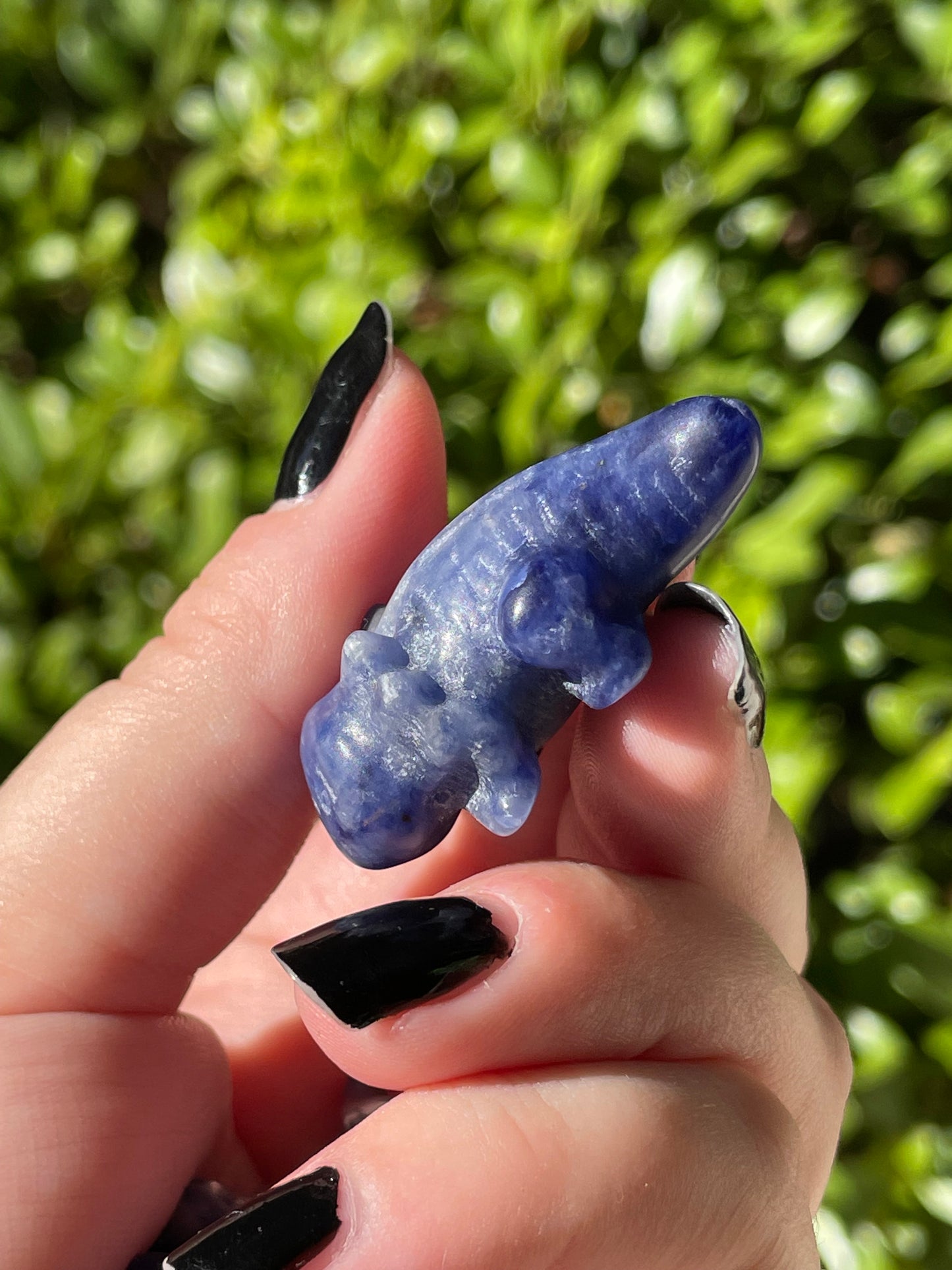 Sodalite Axolotl Crystal Carvings