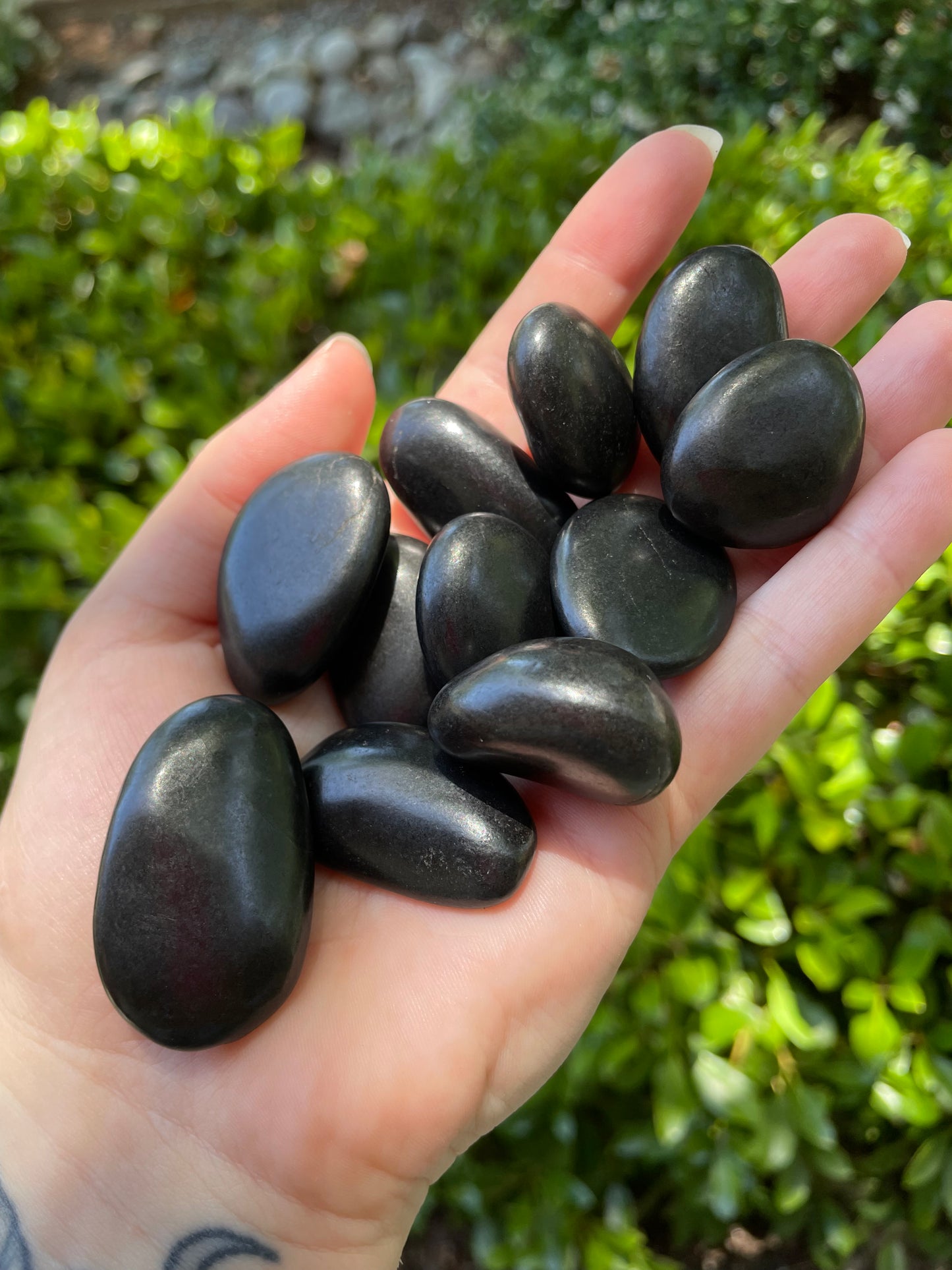 Shungite Tumbles