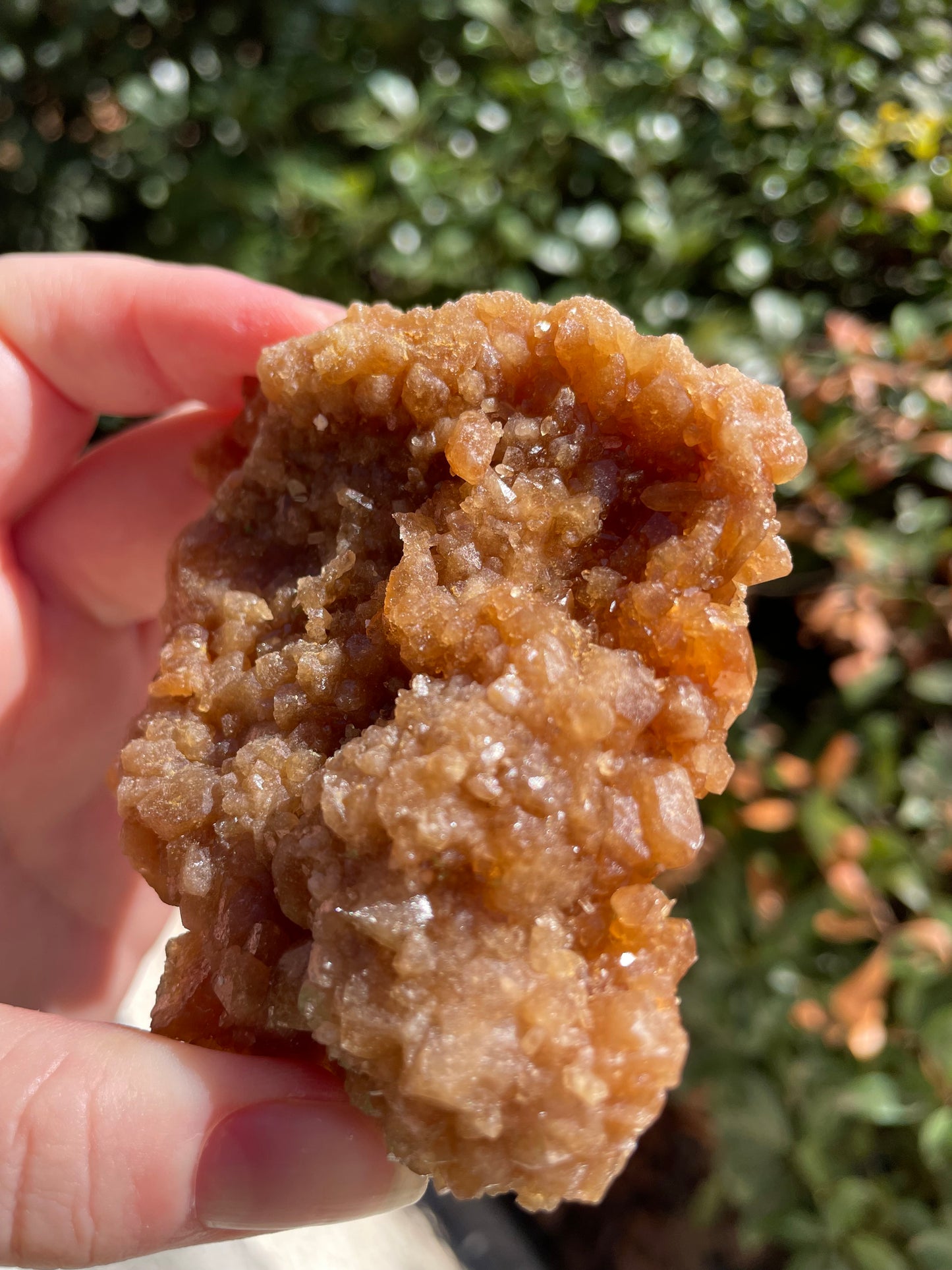 Raw Untreated Citrine Crystal Cluster