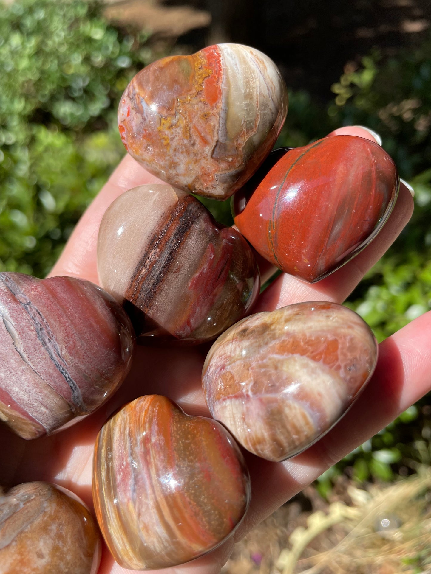 Petrified Wood Hearts