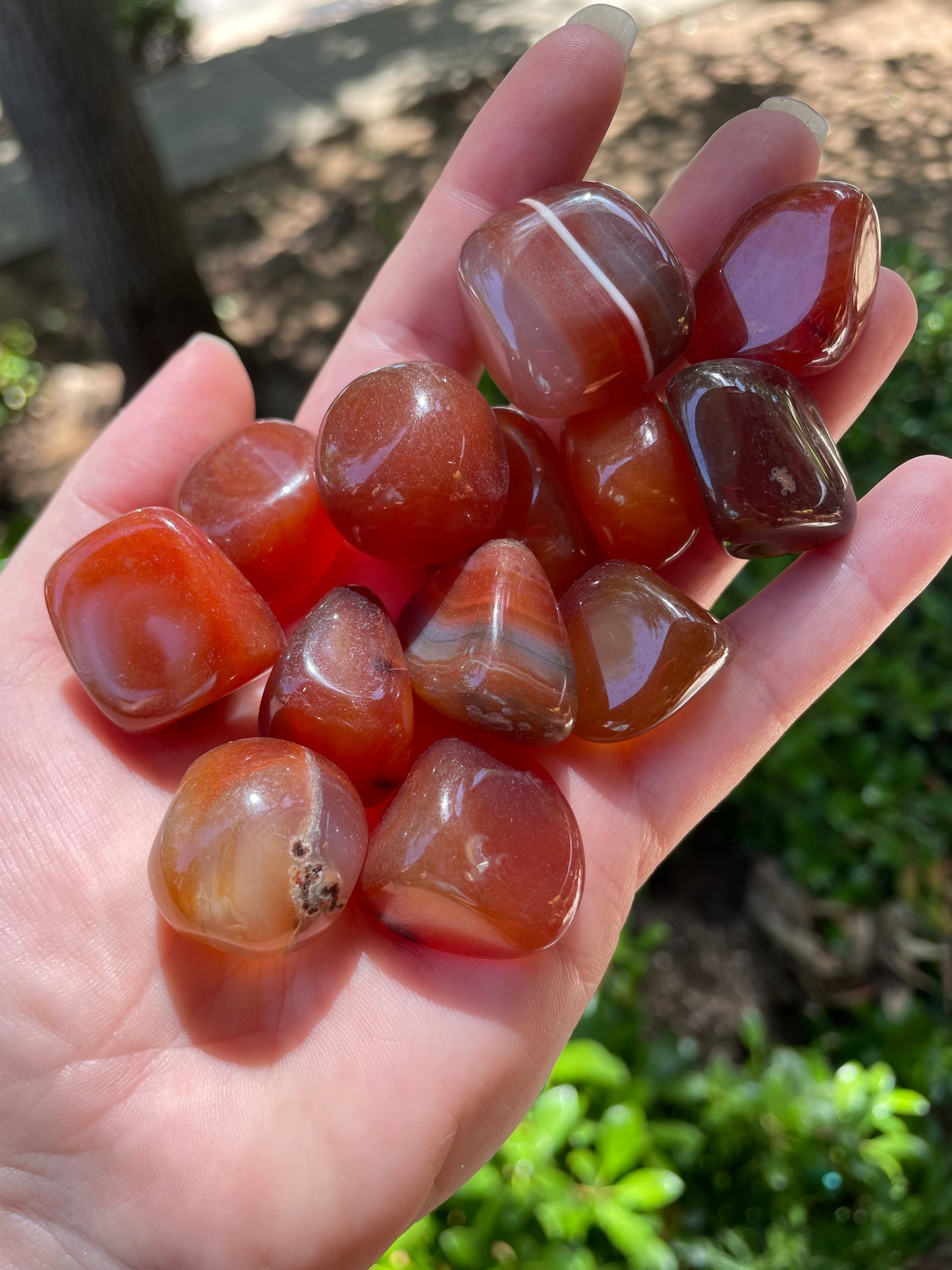 Carnelian Crystal Tumbles