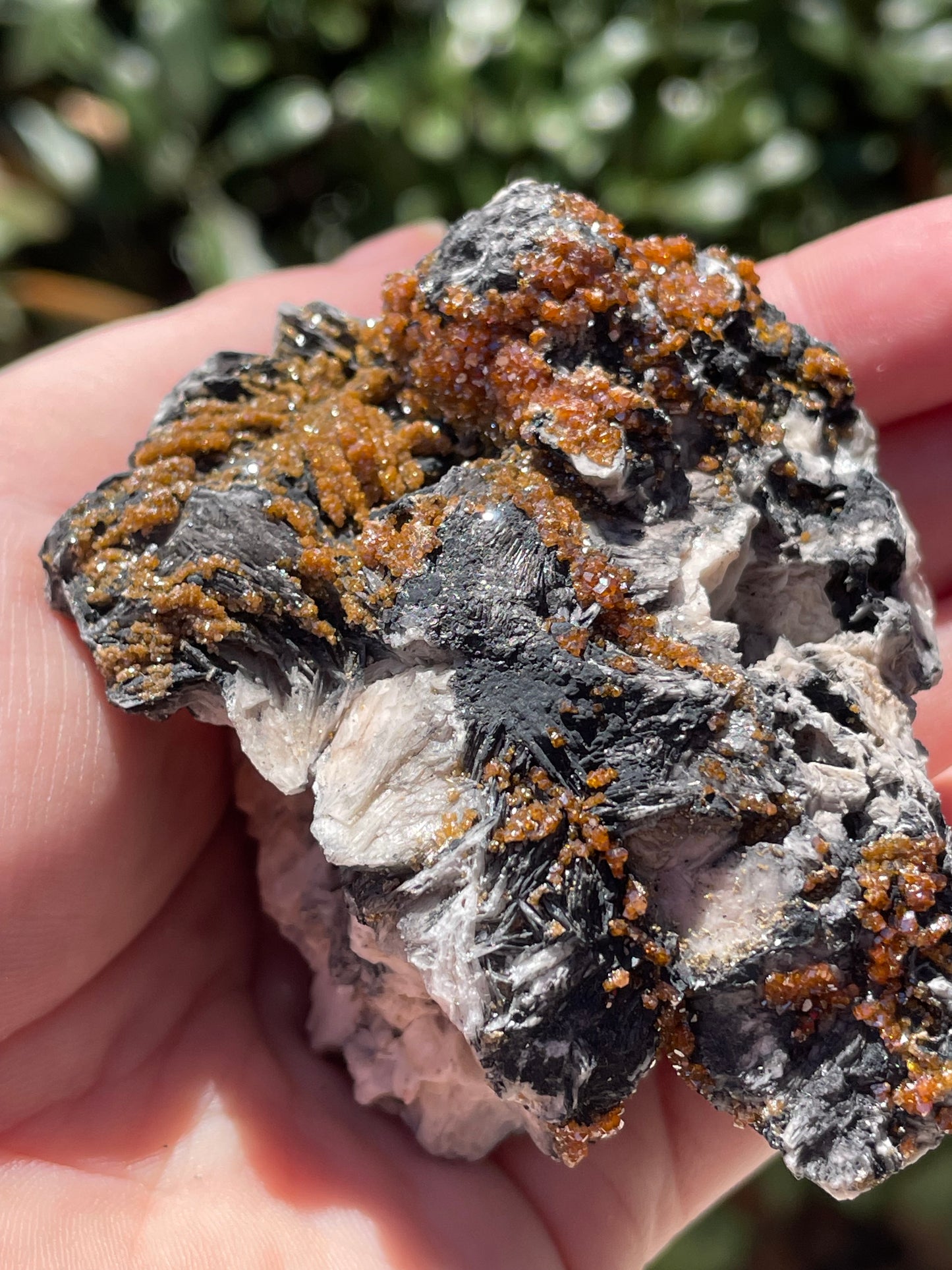 Vanadinite on Barite Crystal Mineral Specimen