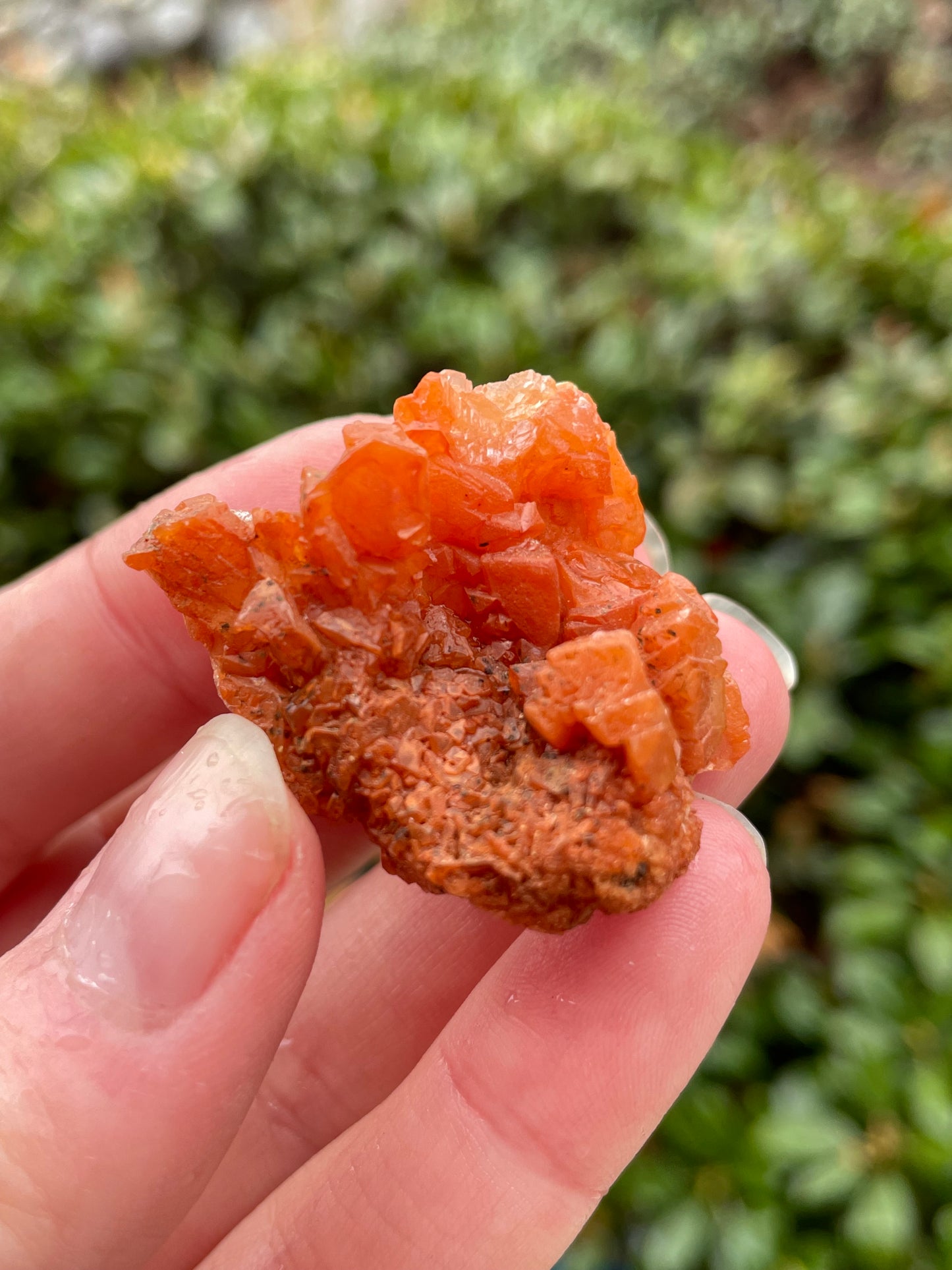 Orange Calcite Crystal Cluster