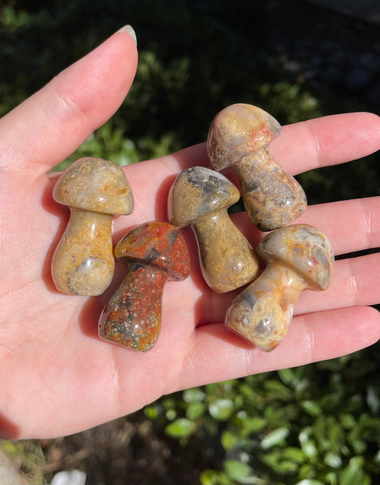 Crazy Lace Agate Crystal Mushroom