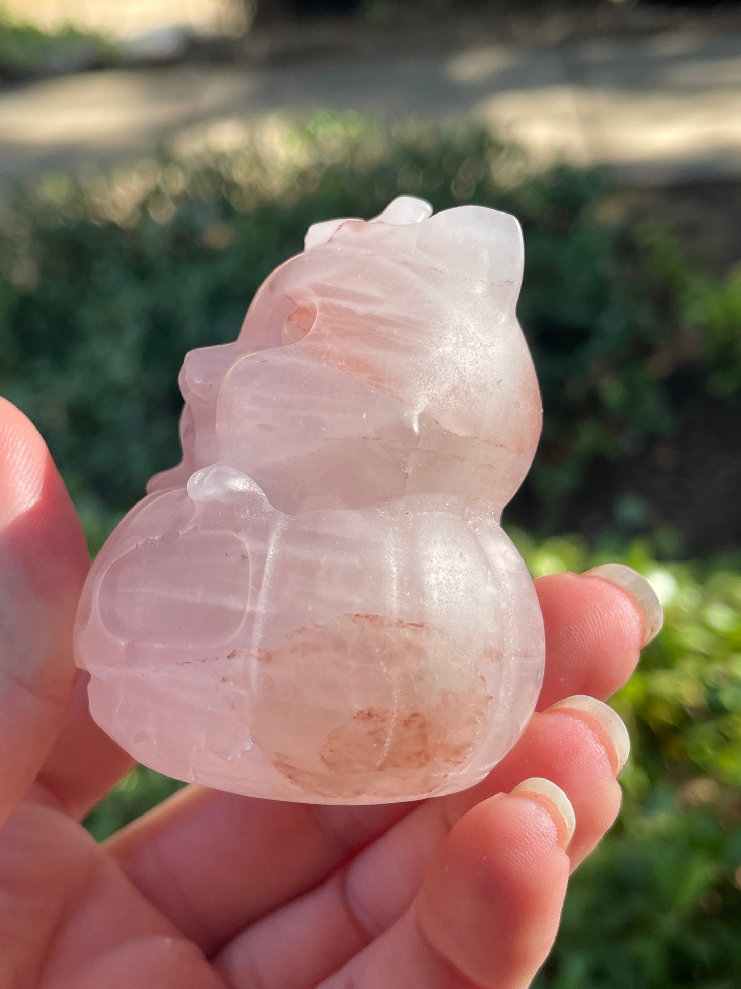 Fire Quartz Crystal Kitty in a Pumpkin Halloween Carving