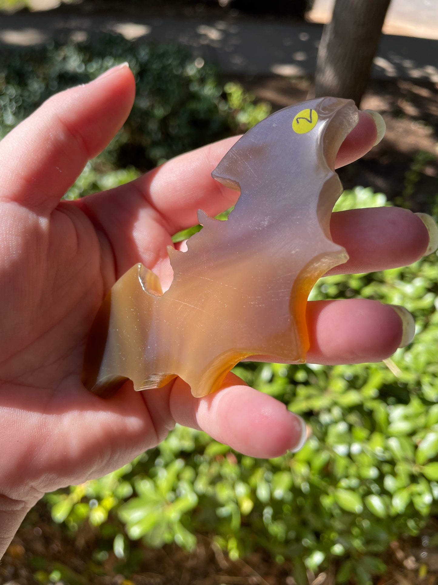 Agate with Druzy Bat Carving