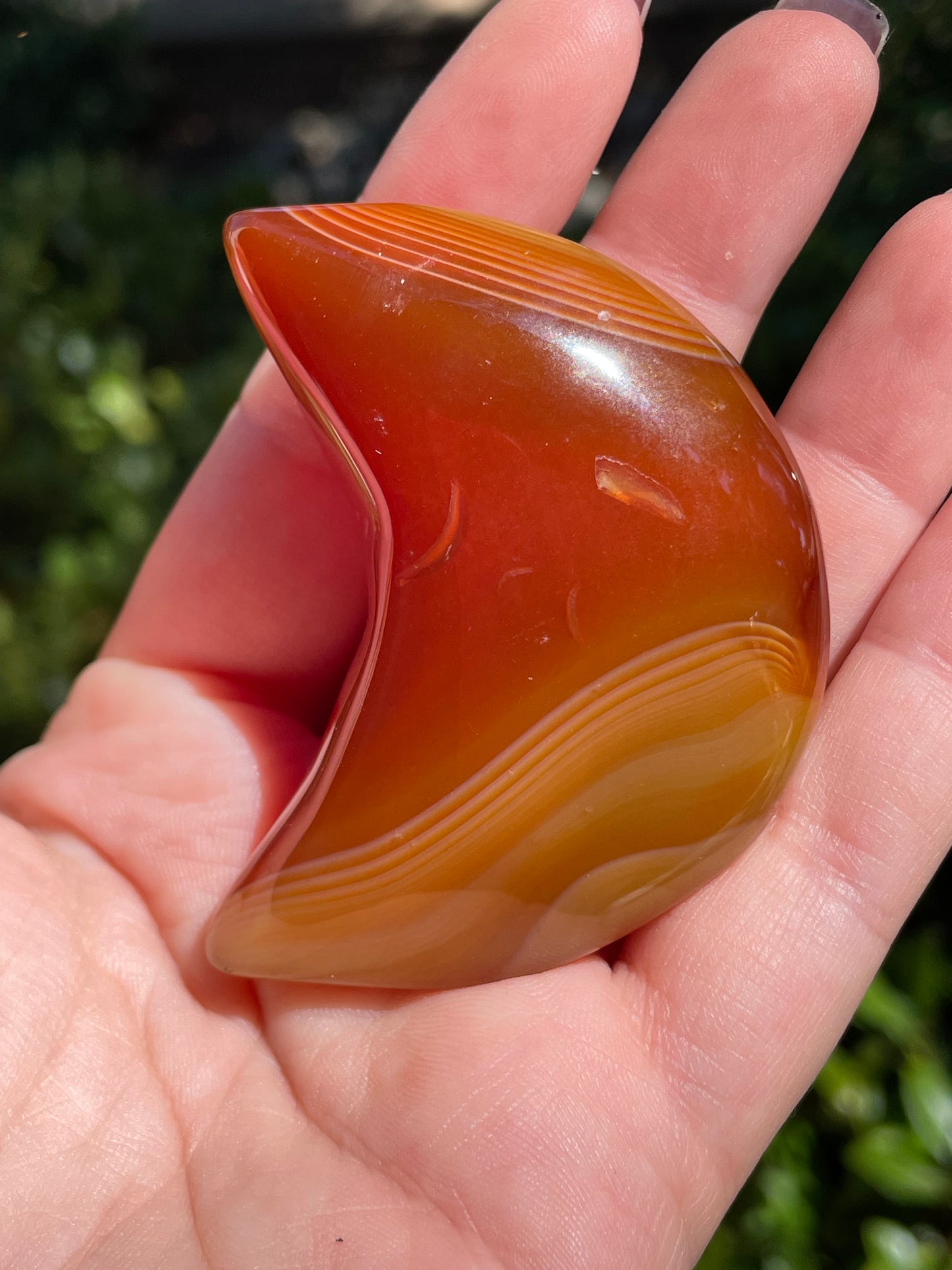 Carnelian 🌙 Crescent Moon Crystals