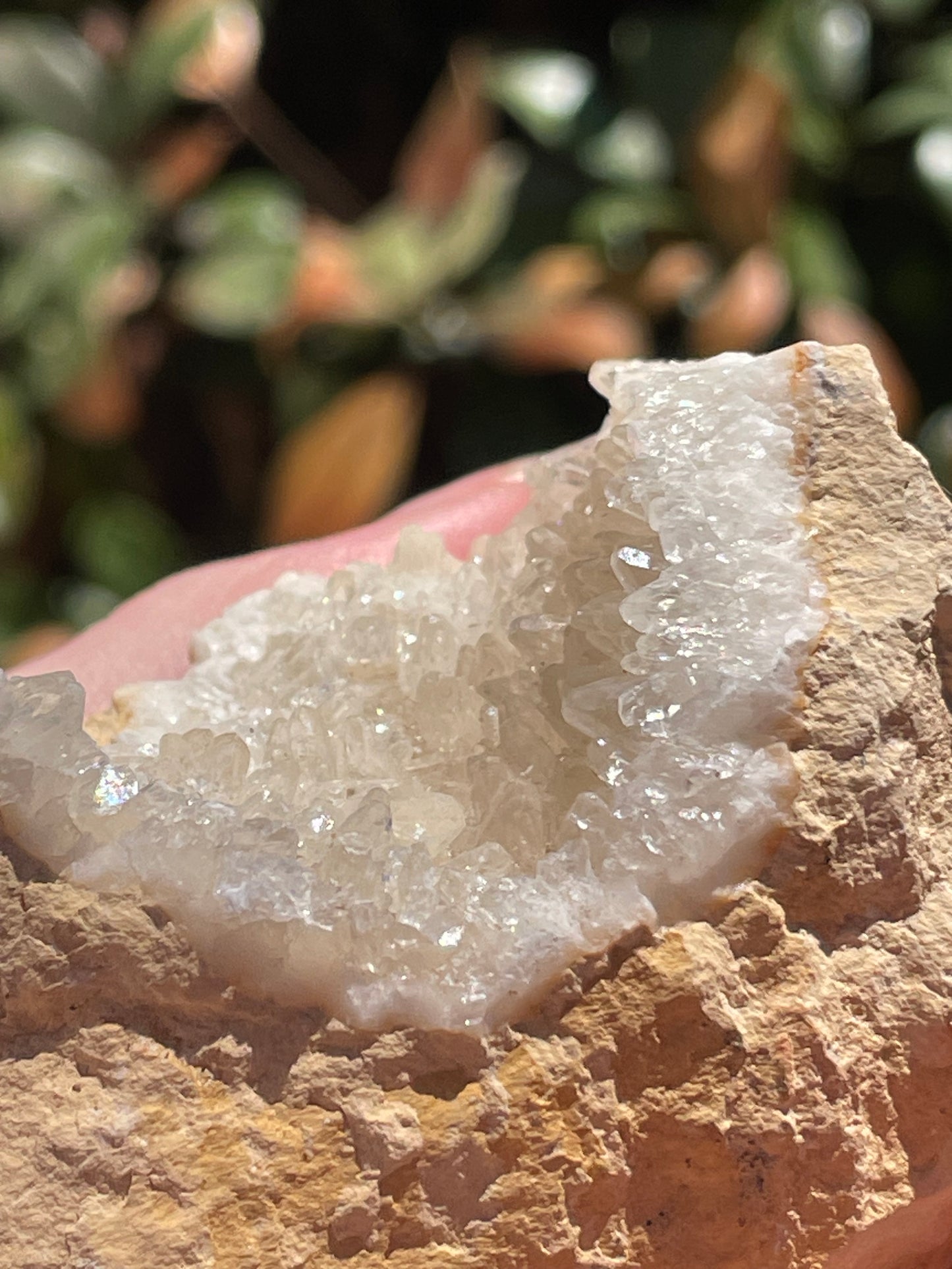 Dogtooth Calcite Crystal Cluster