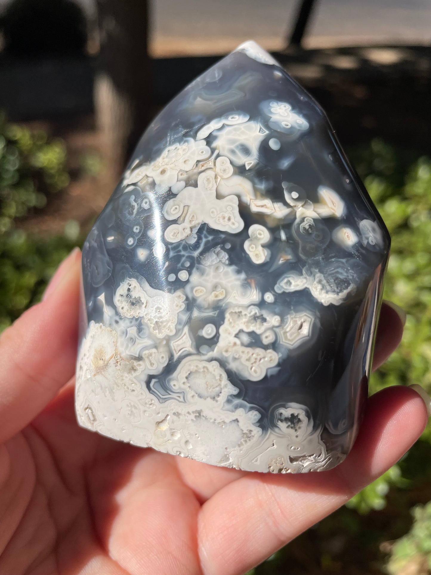 Orca Agate Flame Carving