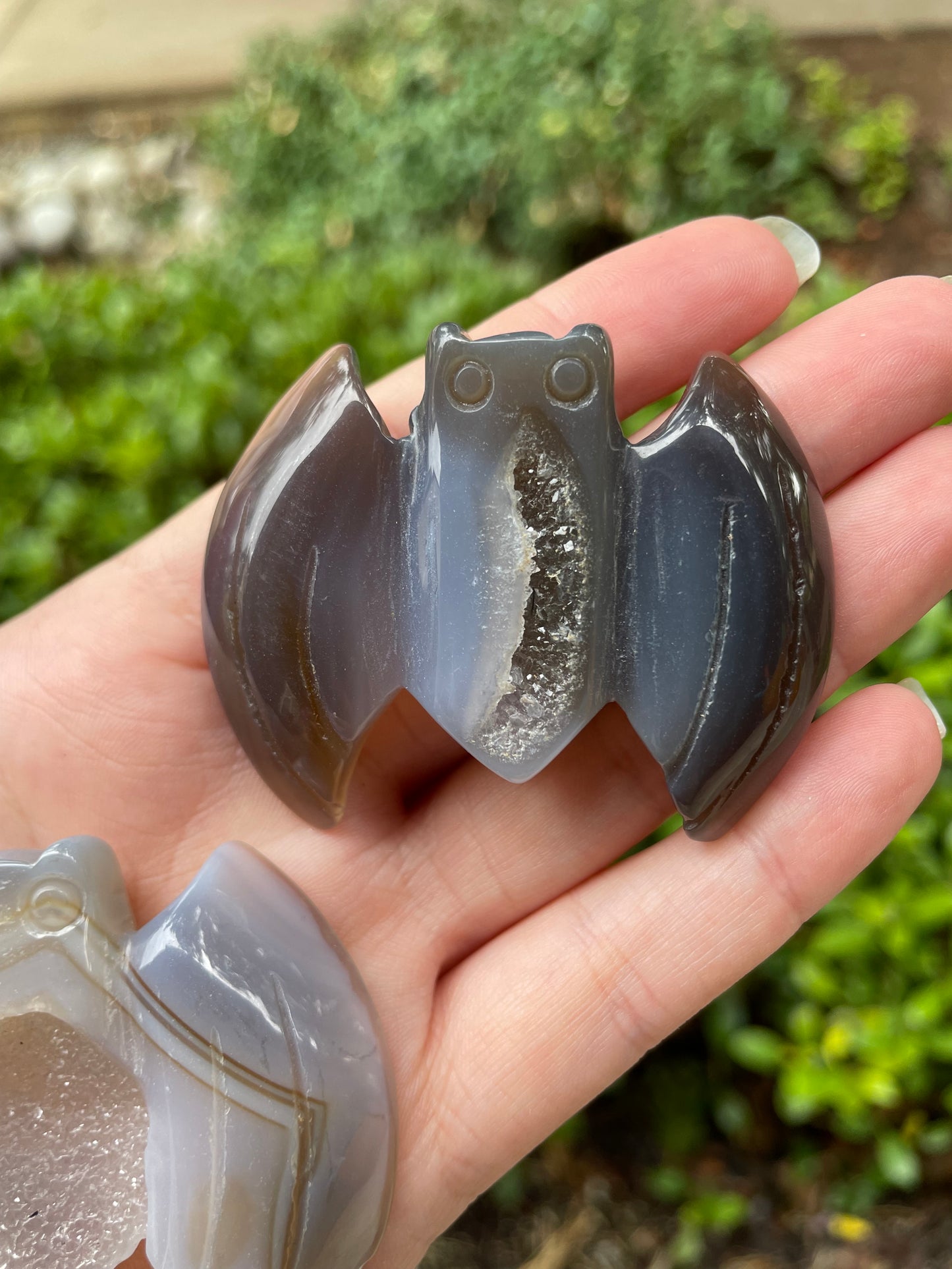 Gray Agate with Druzy Bat Carvings