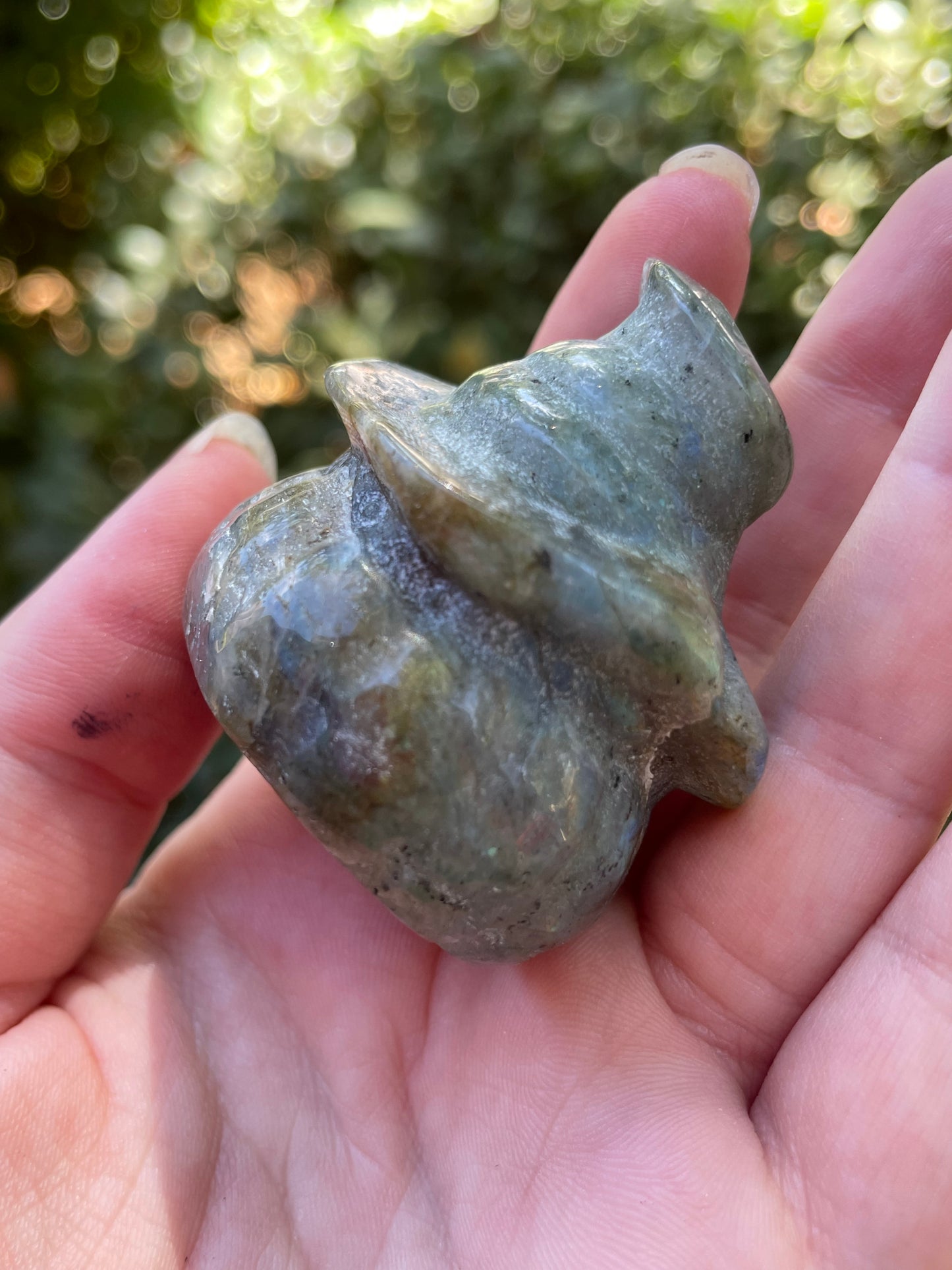 Labradorite Jack-O-Lantern Halloween Pumpkin Witch Carving