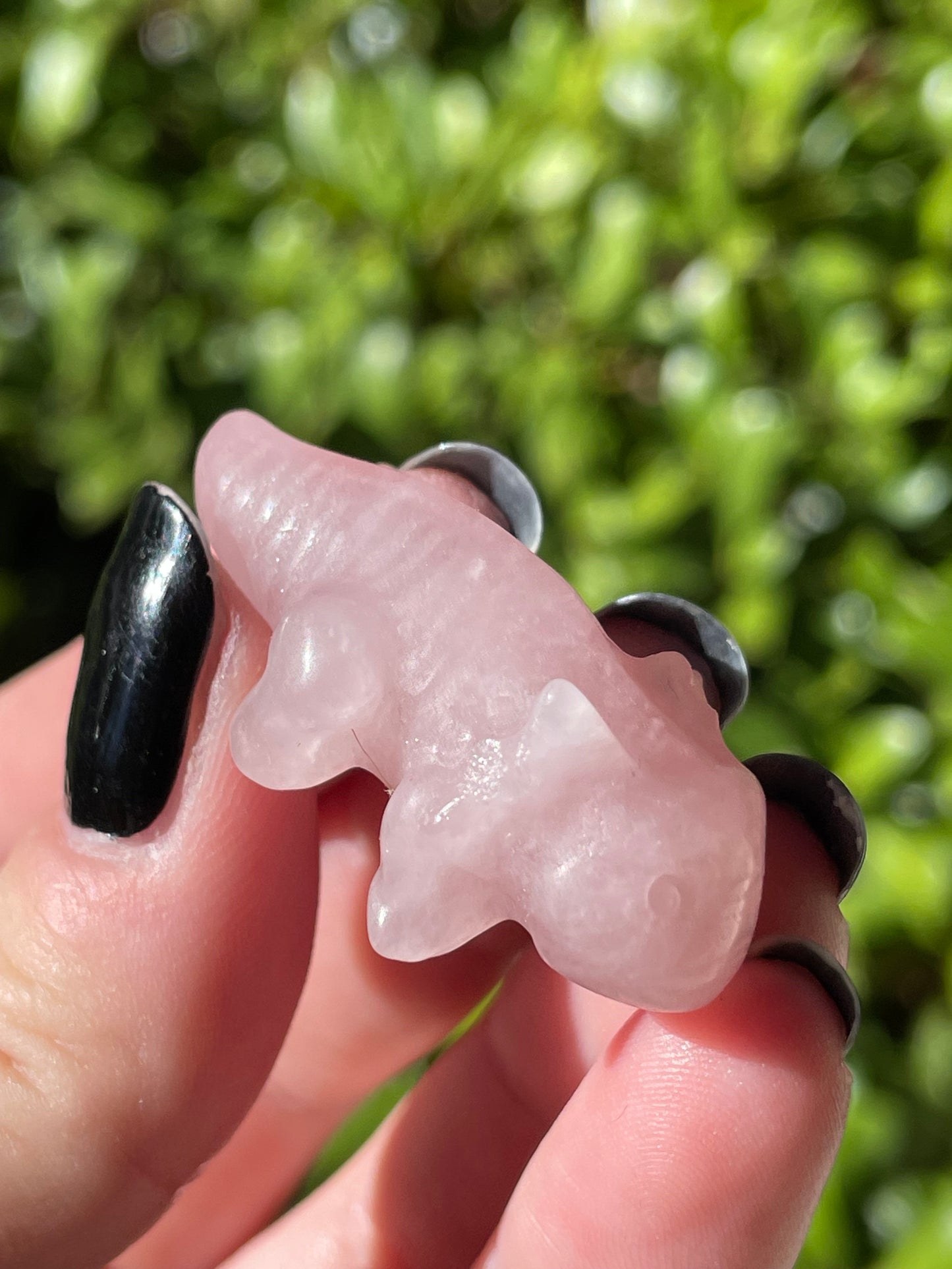 Rose Quartz Axolotl Crystal Carvings