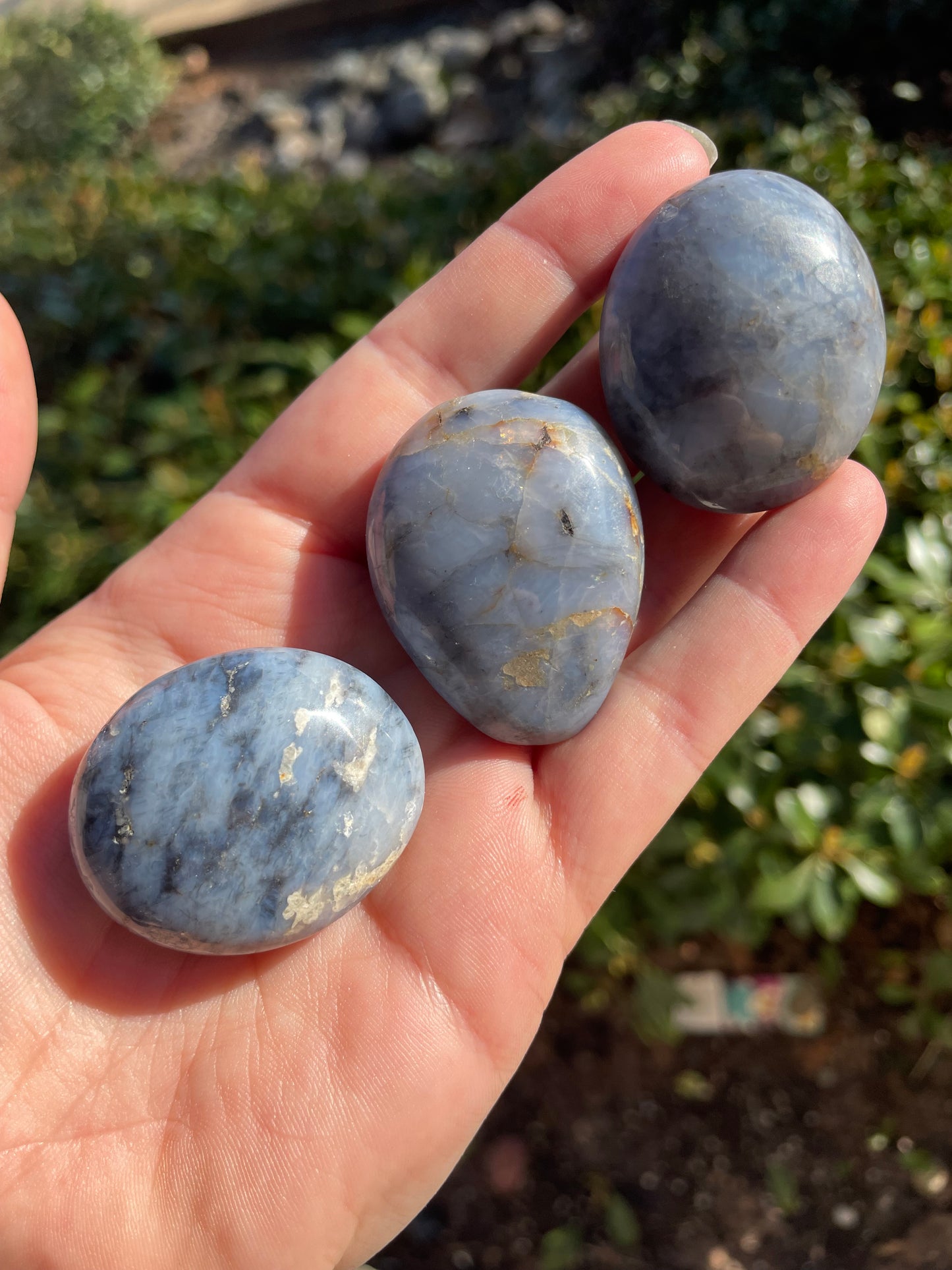 Polished Owyhee Blue Opal Crystals