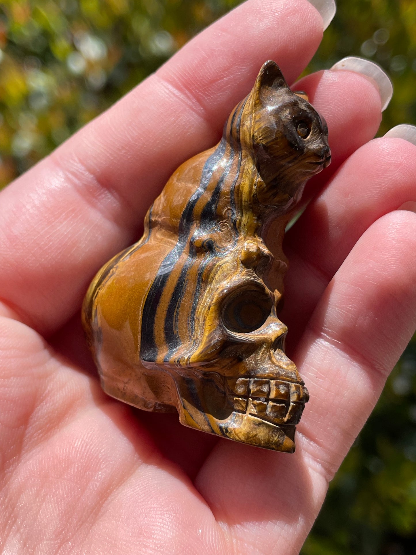 Cat on Skull Tigers Eye Carving