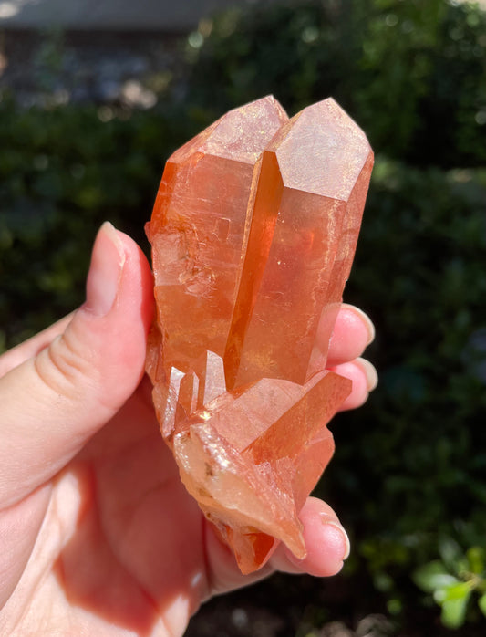 Tangerine Quartz Crystal Cluster