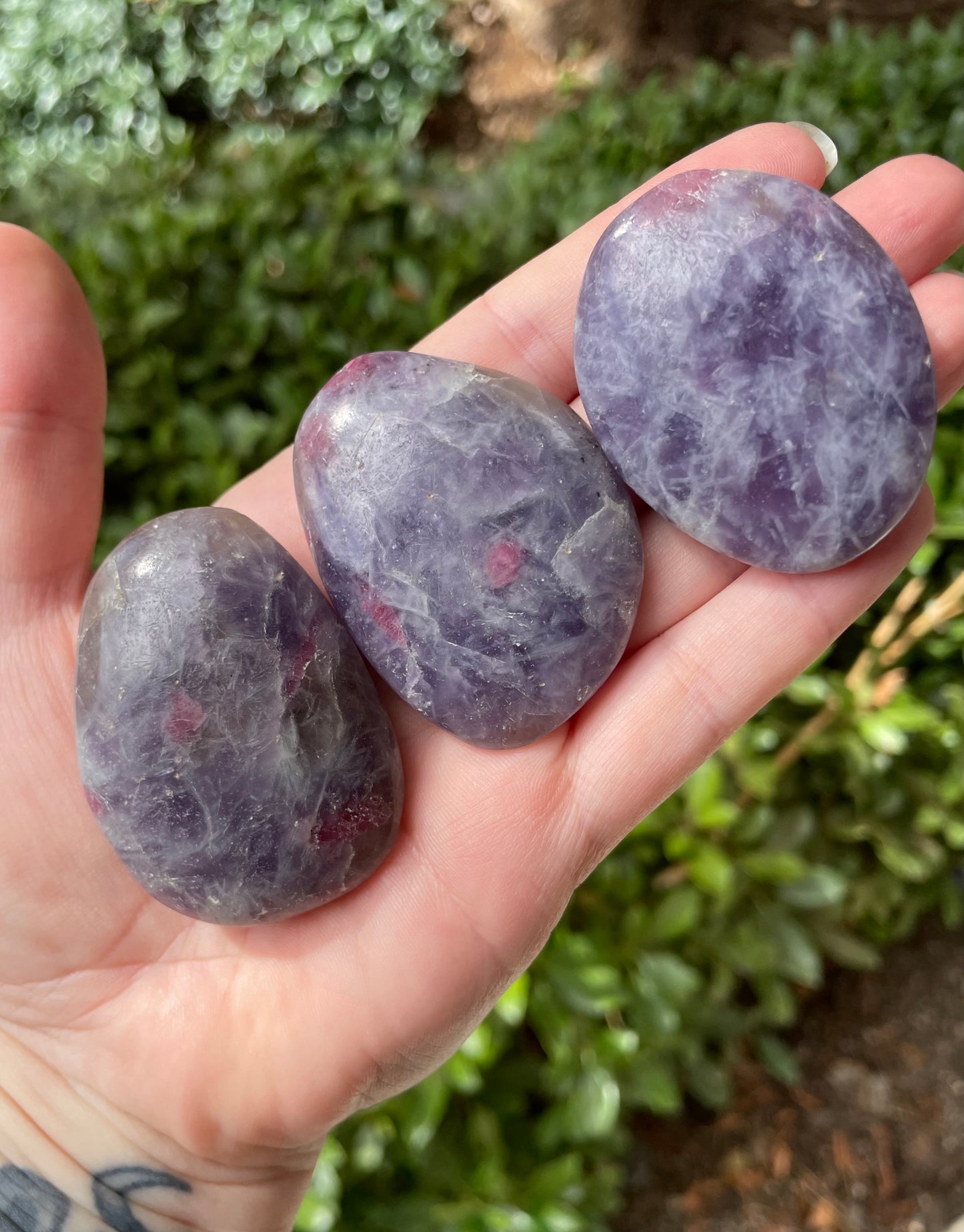 Unicorn Stone Palm Stones