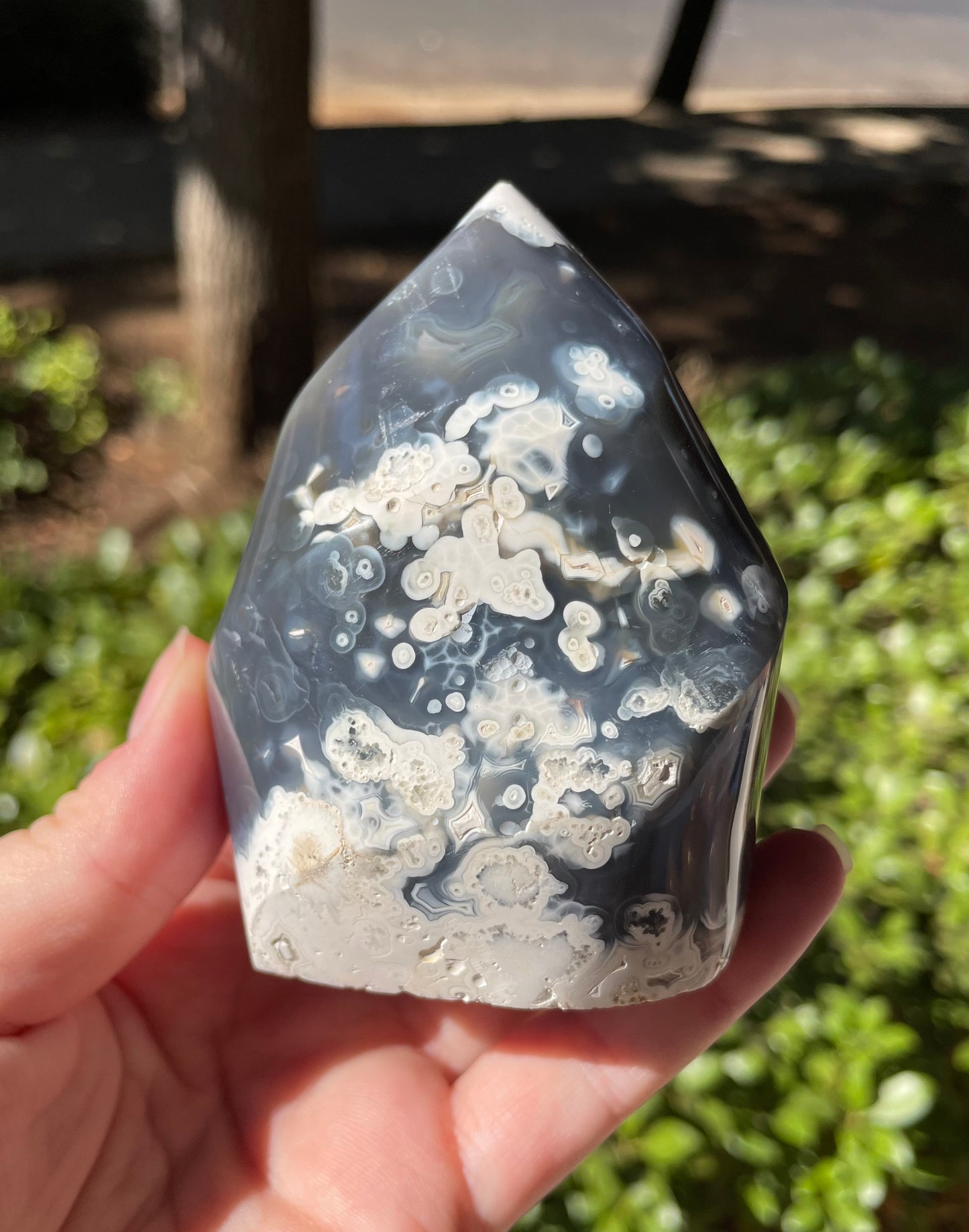 Orca Agate Flame Carving