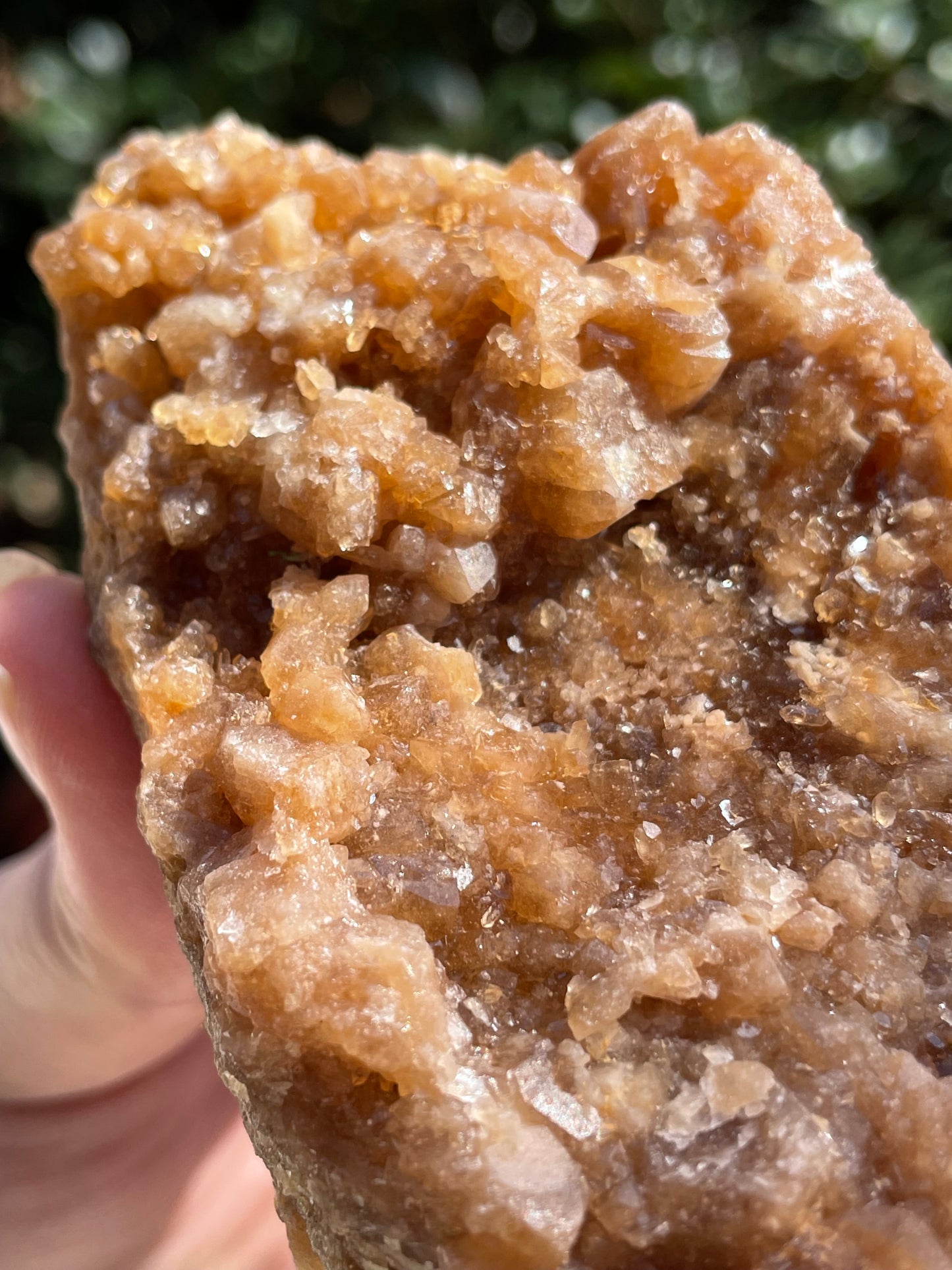 Raw Untreated Citrine Crystal Cluster