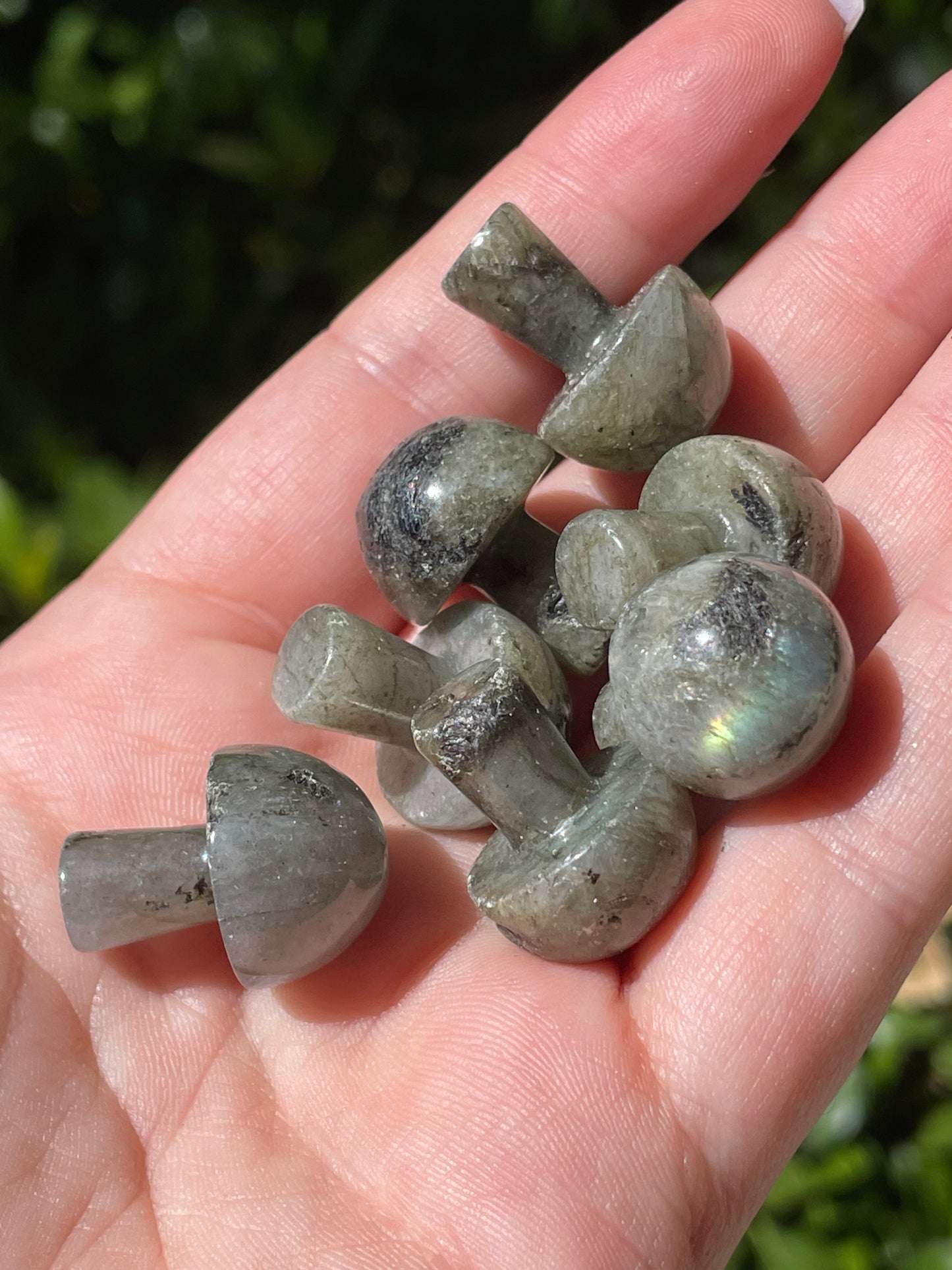 Mini Labradorite Crystal Mushrooms