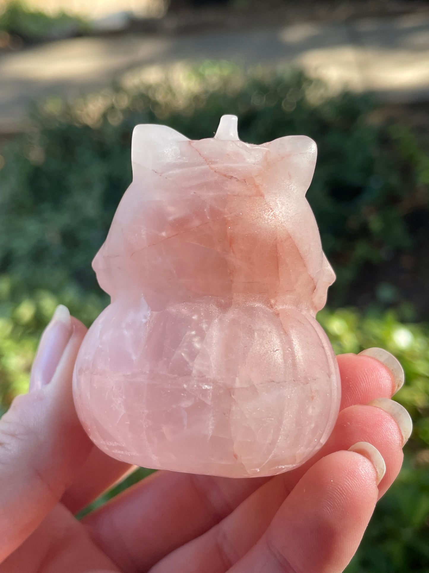 Fire Quartz Crystal Kitty in a Pumpkin Halloween Carving