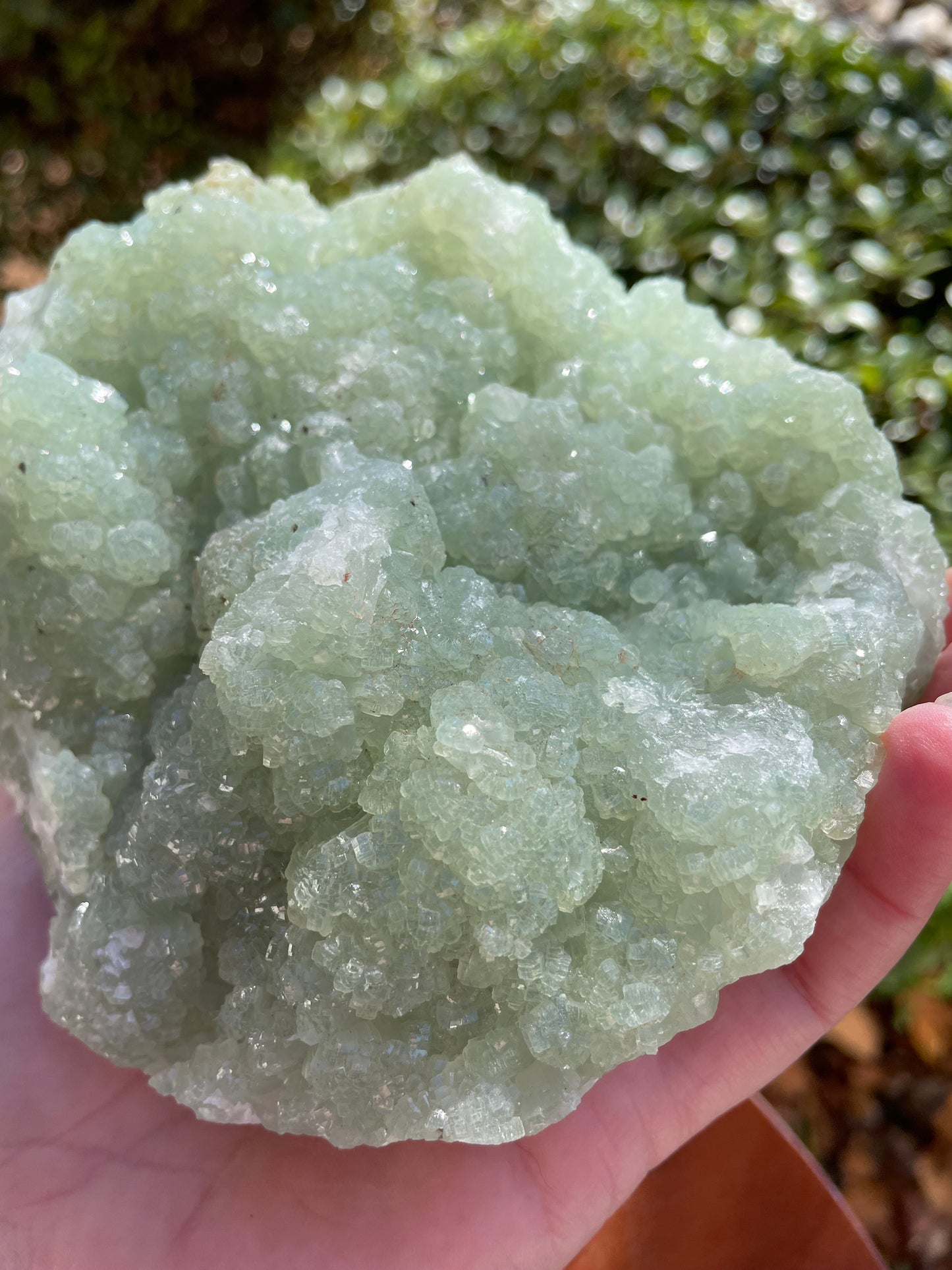 Prehnite Statement Piece Raw Crystal Cluster