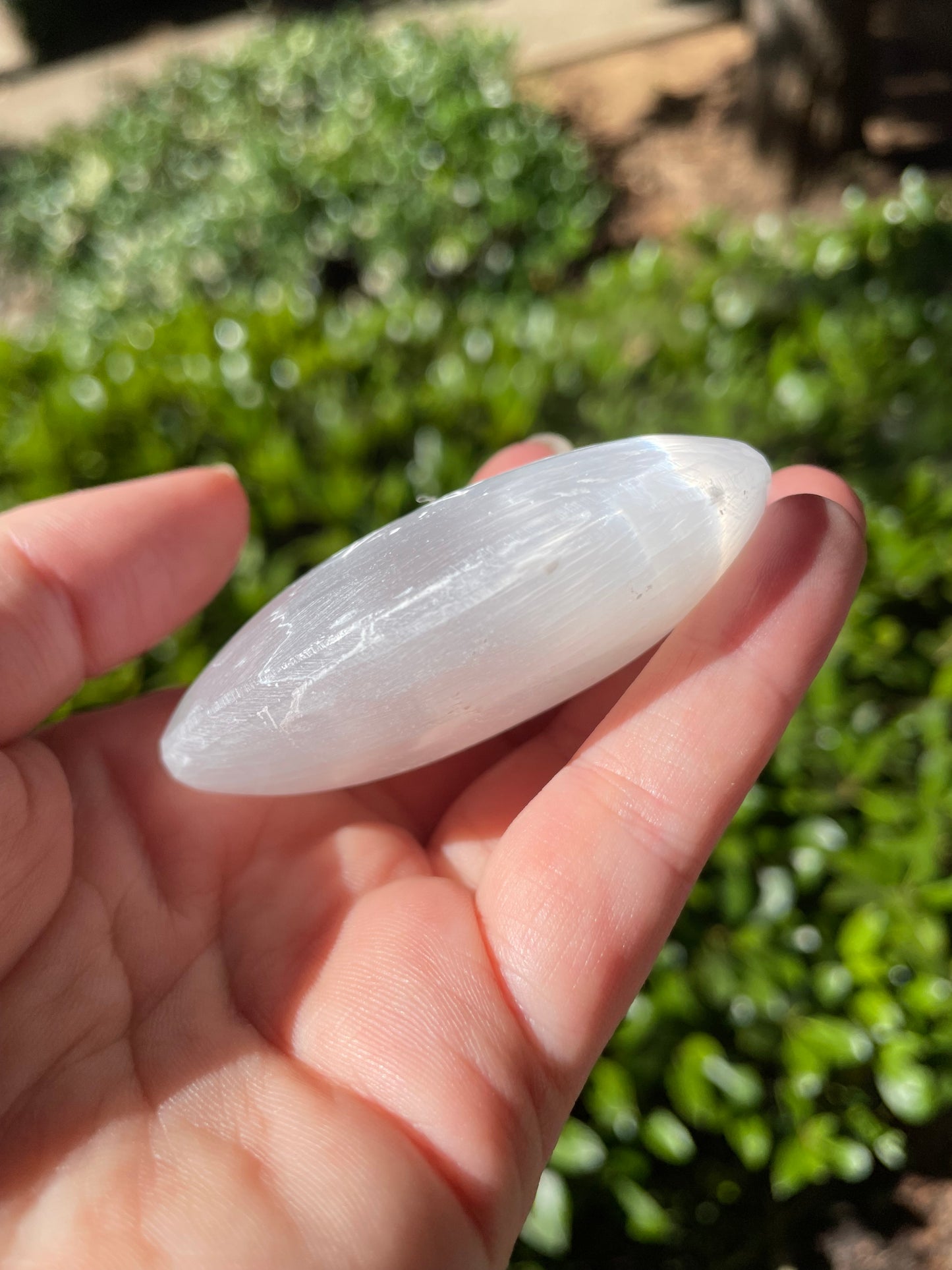 Lotus Flower Satin Spar Selenite Crystal Palm Stone