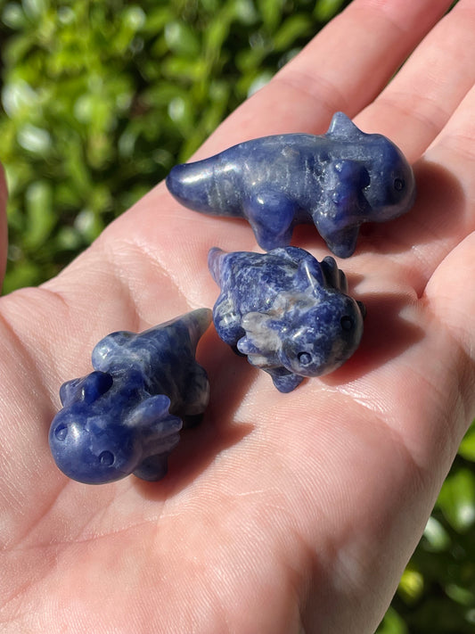 Sodalite Axolotl Crystal Carvings