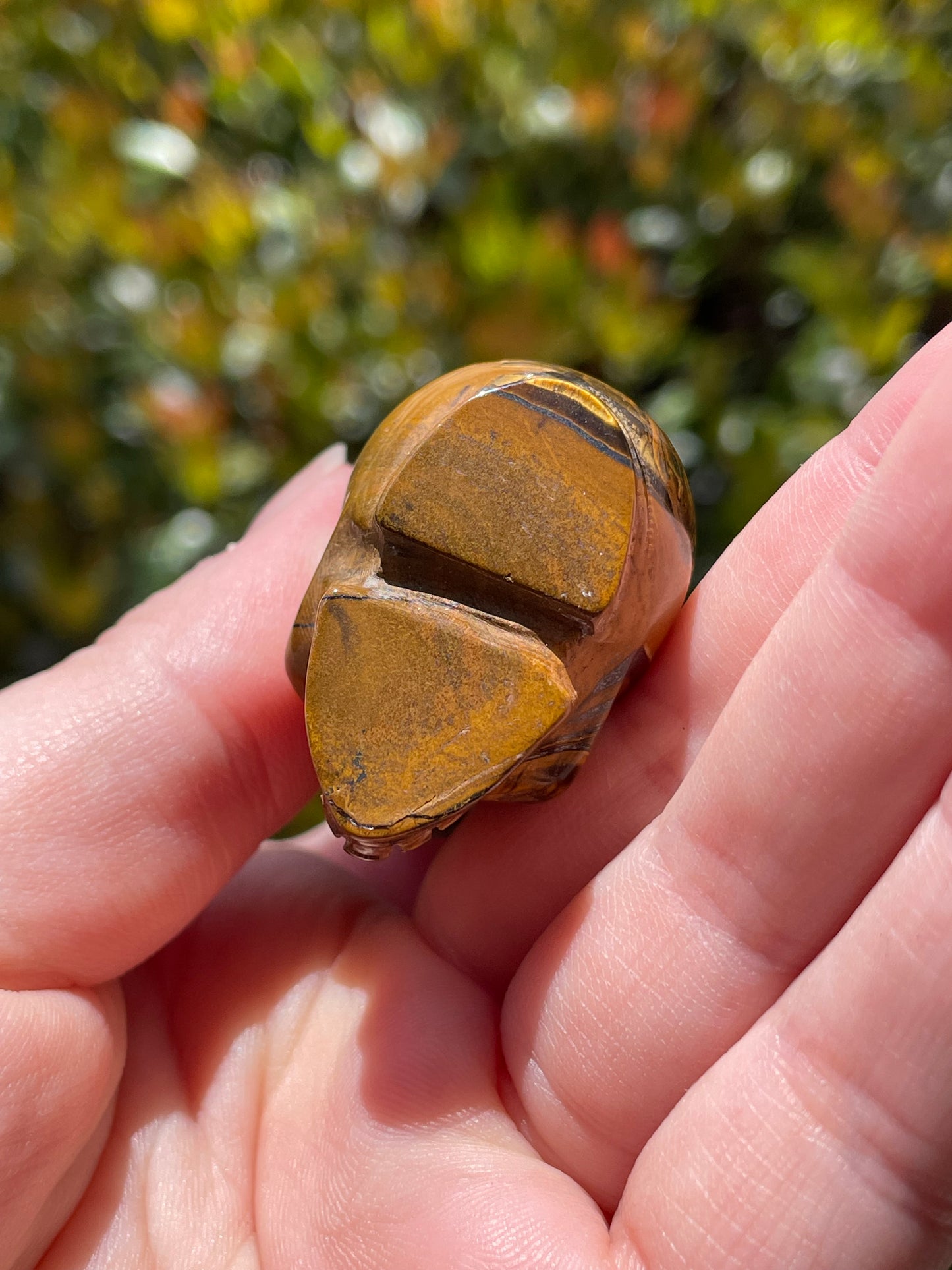 Cat on Skull Tigers Eye Carving