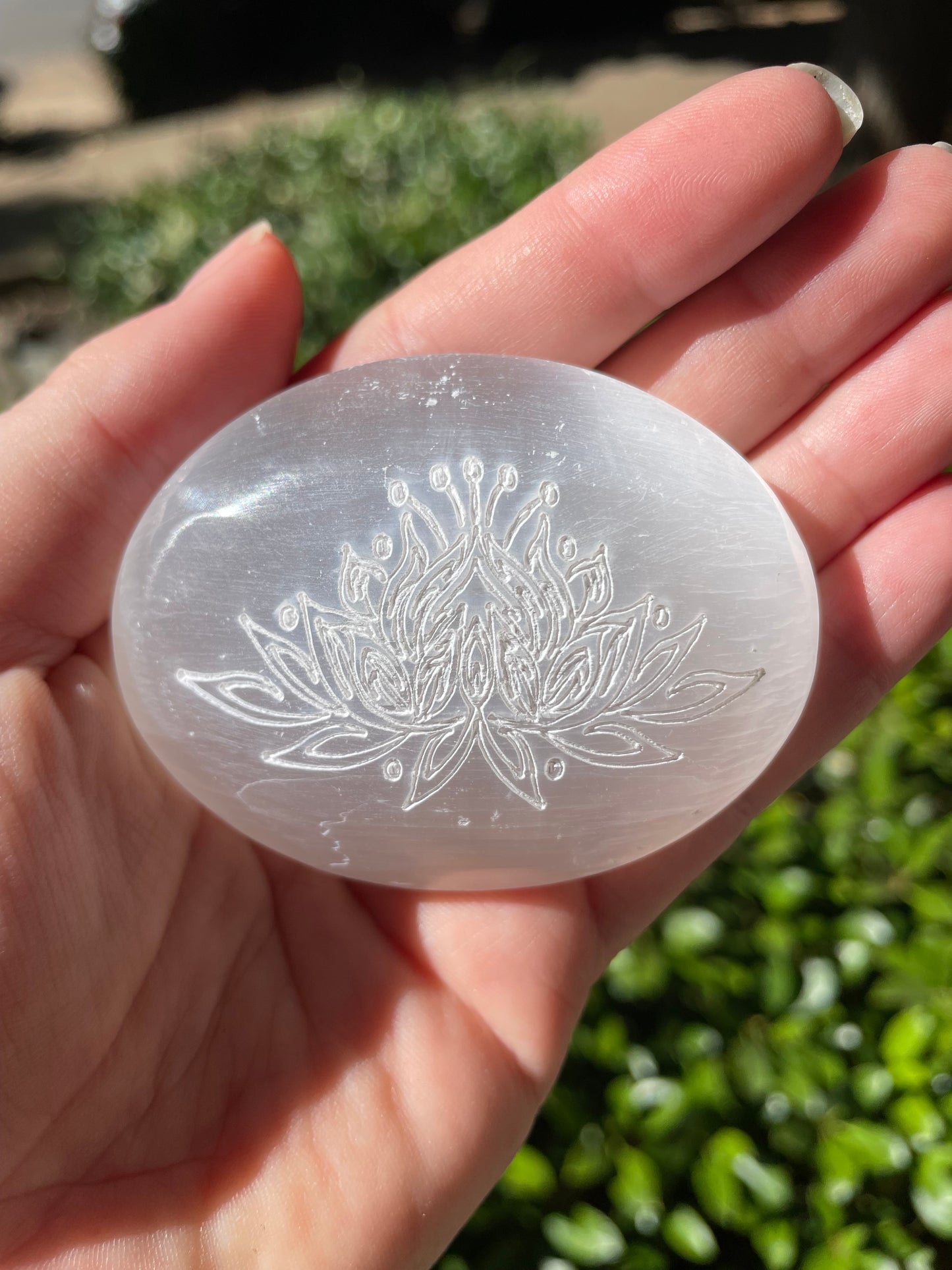 Lotus Flower Satin Spar Selenite Crystal Palm Stone