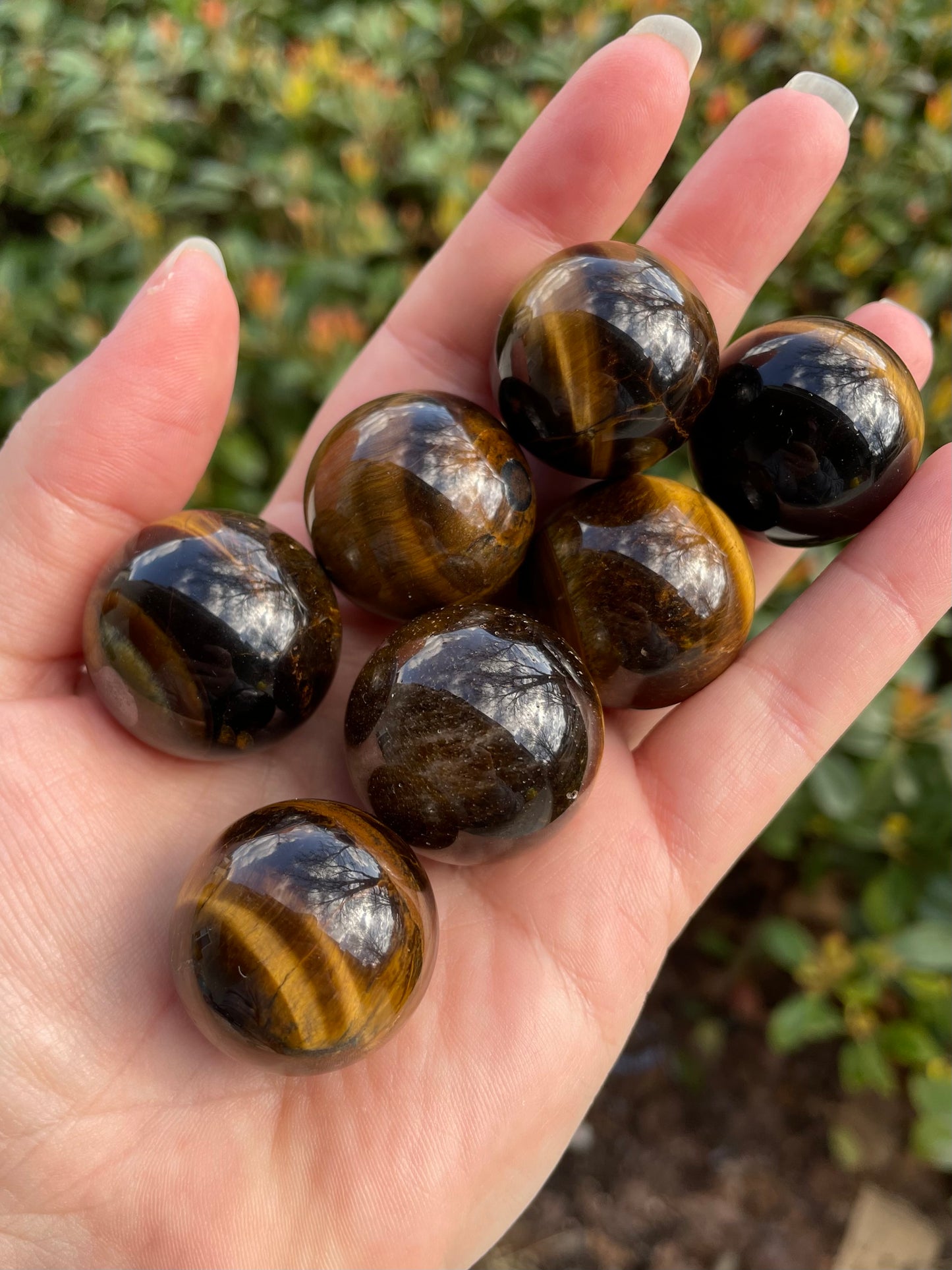 Tigers Eye Crystal 1” Spheres