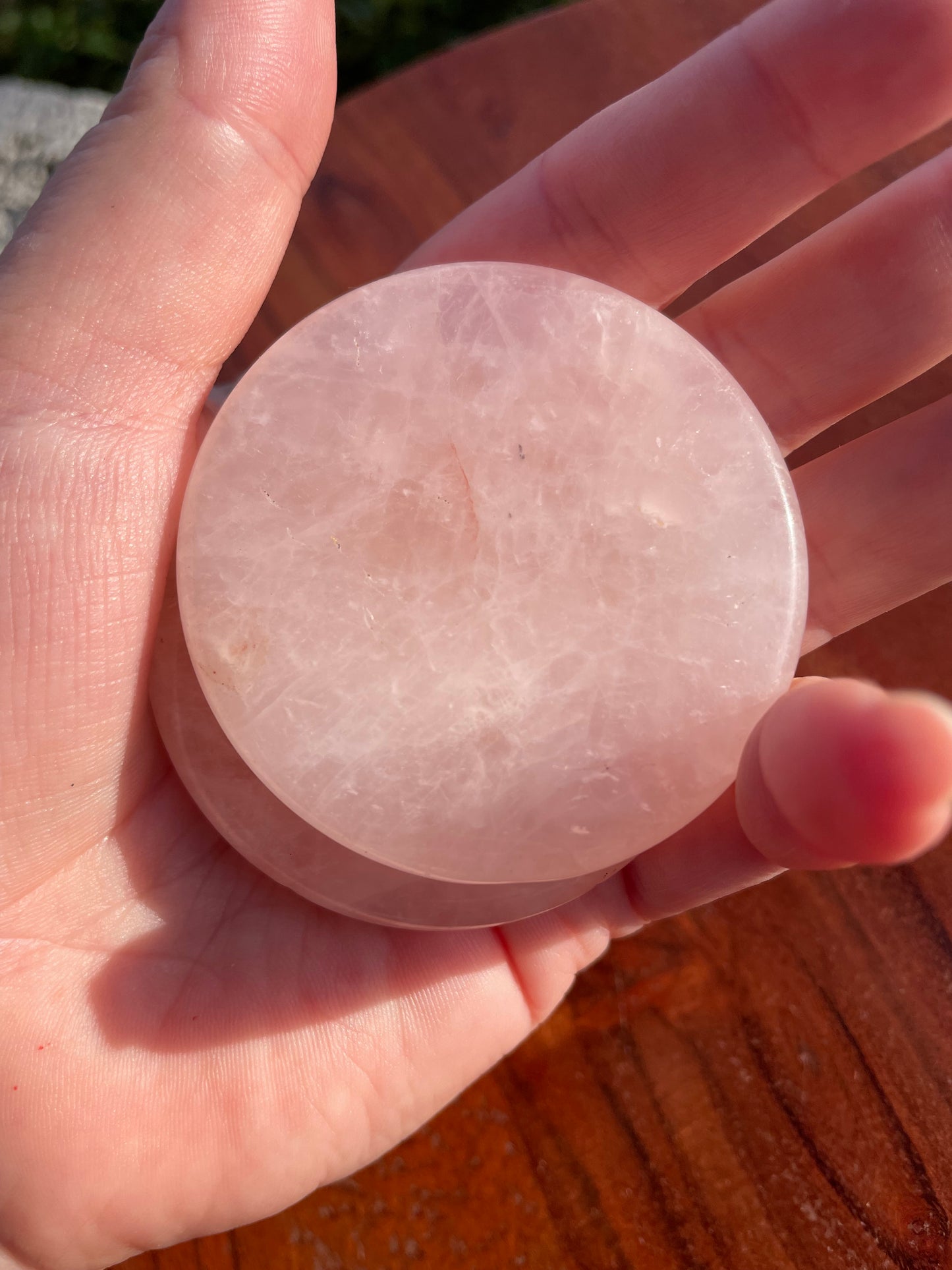 Rose Quartz Crystal Tree of Life Etched Worry Stone Disc