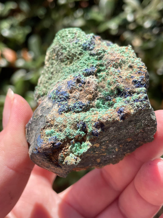 Malachite & Azurite on Chalcopyrite Crystal Mineral Specimen