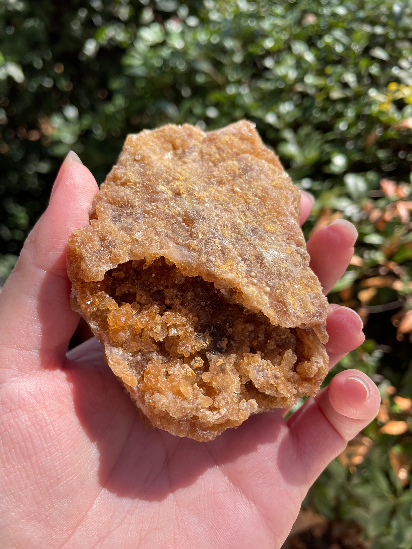 Raw Untreated Citrine Crystal Cluster