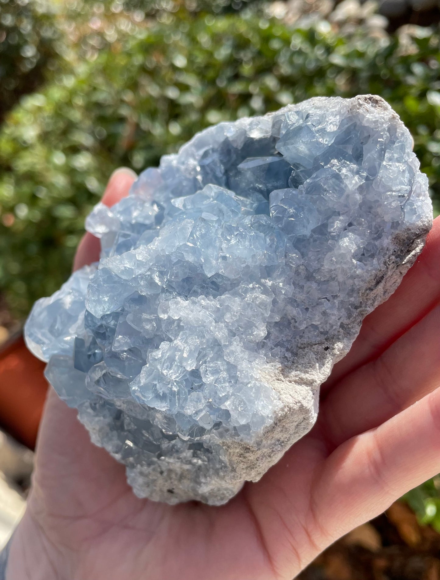 Celestite Crystal Statement Piece Cluster