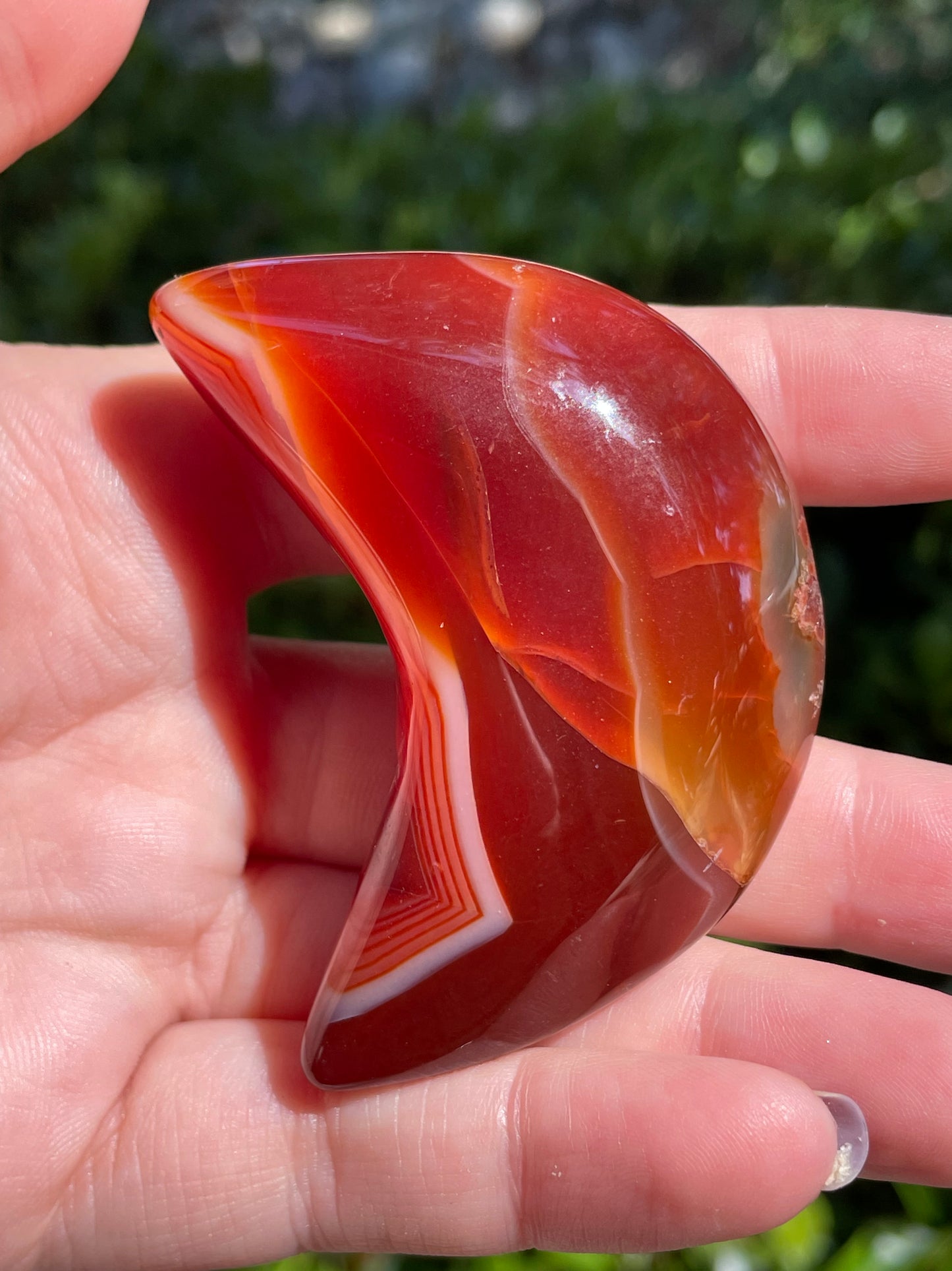 Carnelian 🌙 Crescent Moon Crystals