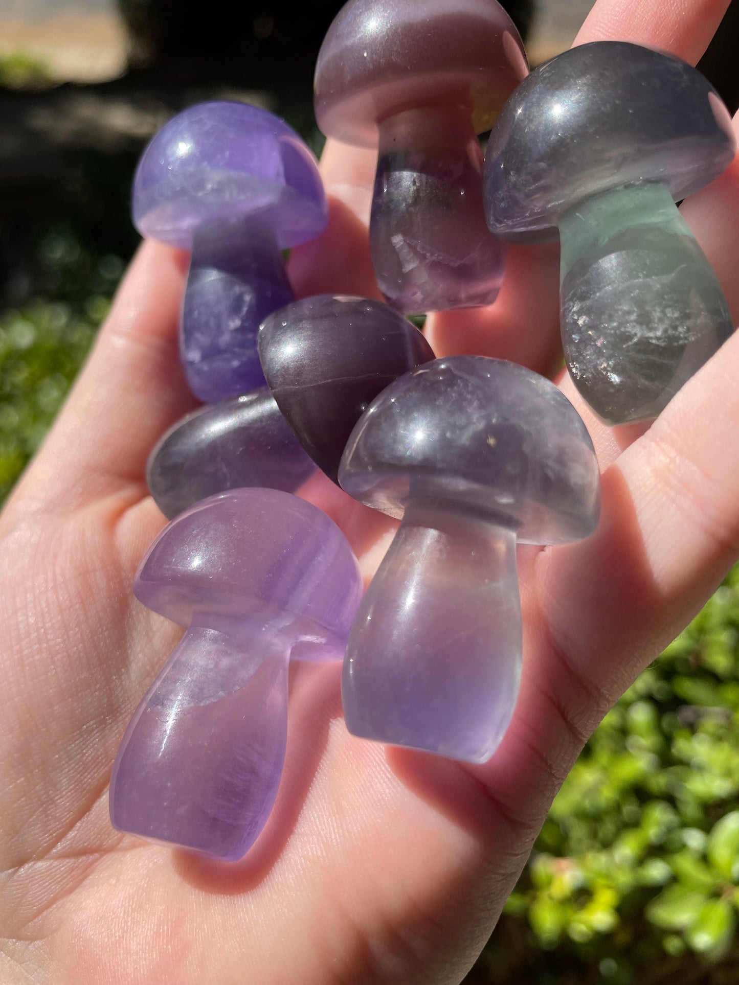 Rainbow Fluorite Crystal Mushrooms