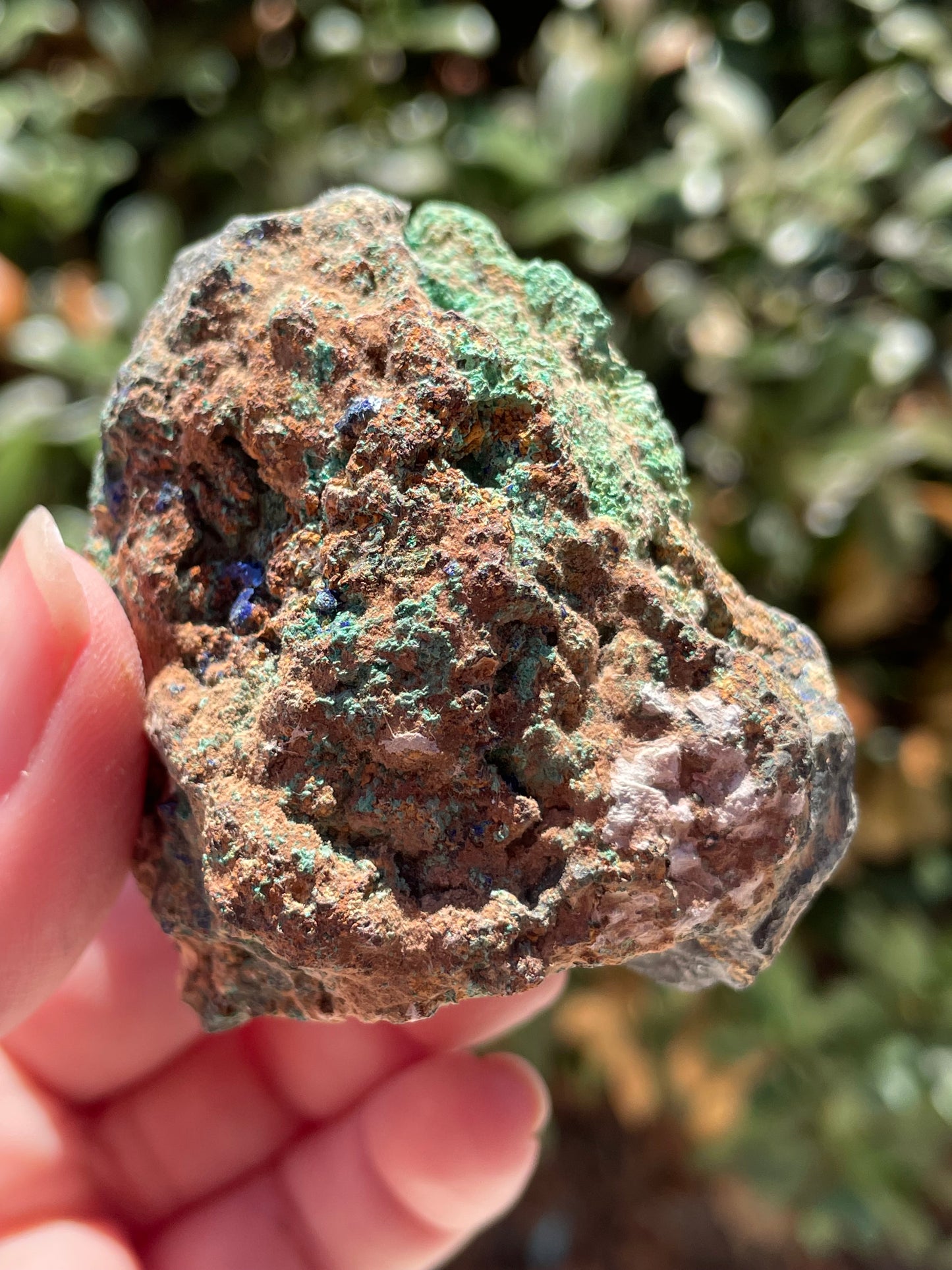 Malachite & Azurite on Chalcopyrite Crystal Mineral Specimen