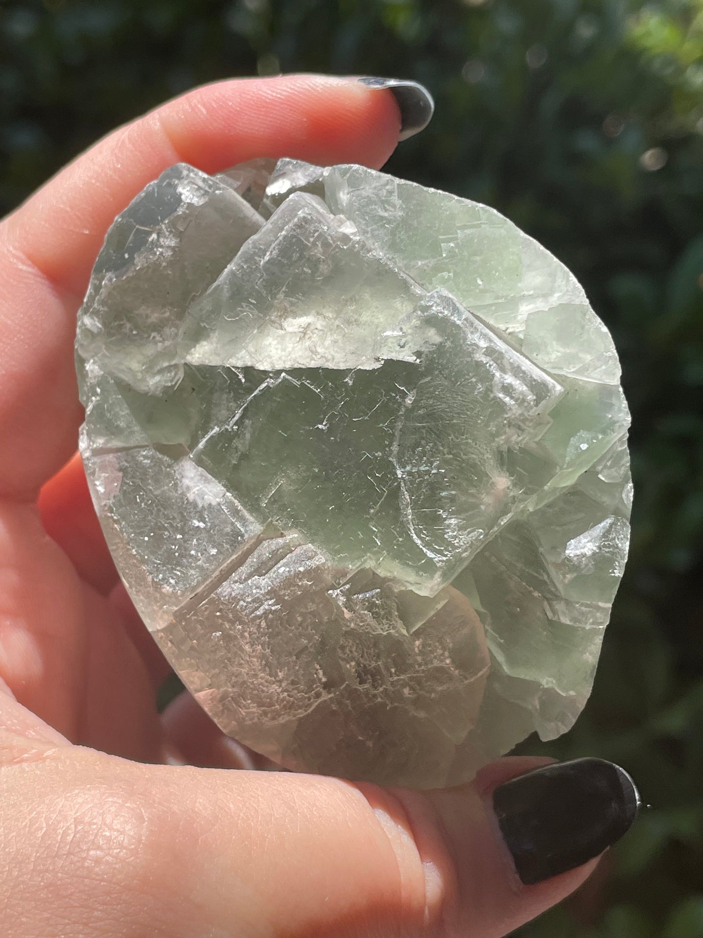 Green Fluorite Cluster Pet Rock Groot Crystal