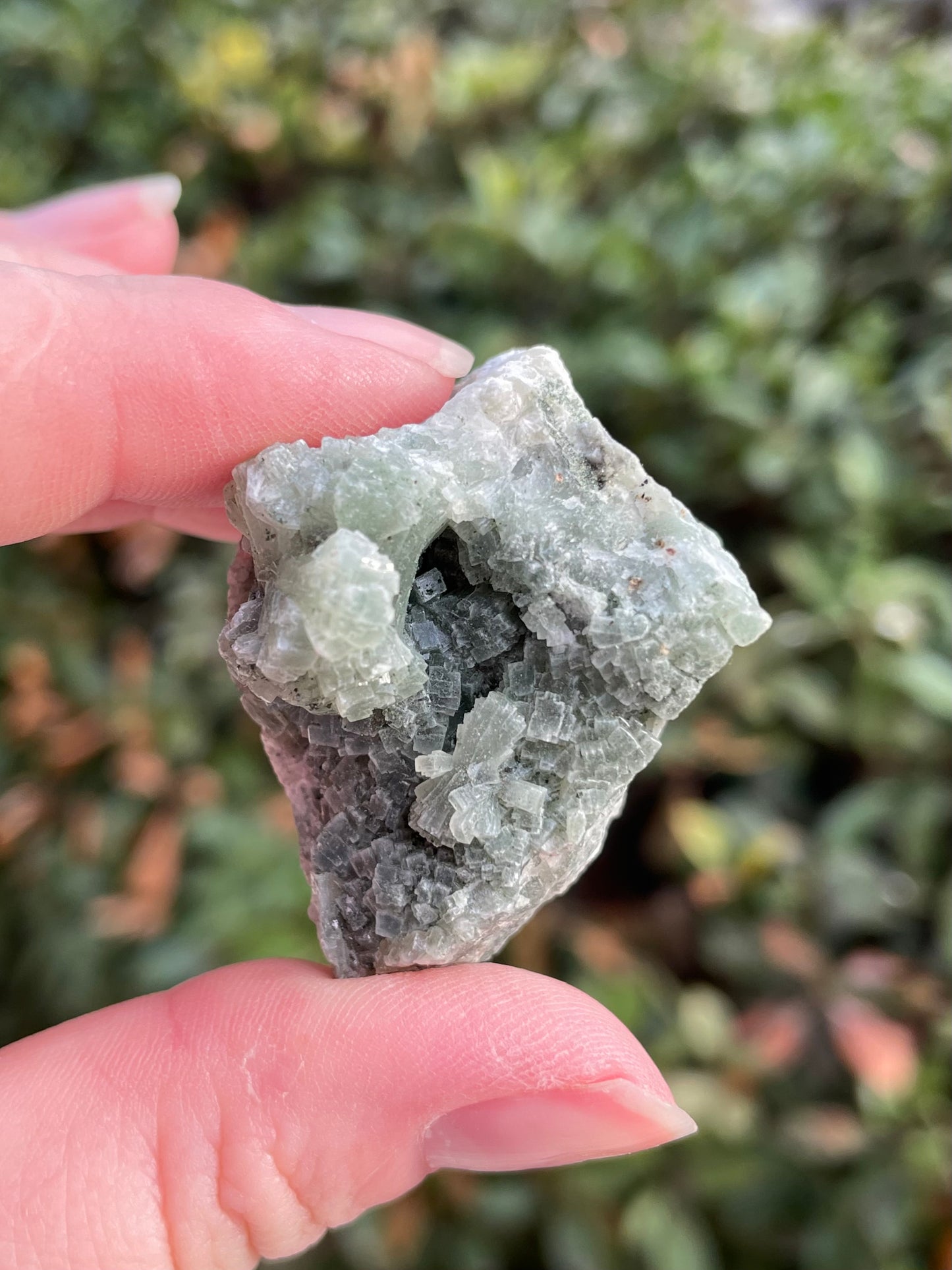 Prehnite with Epidote Crystal Clusters