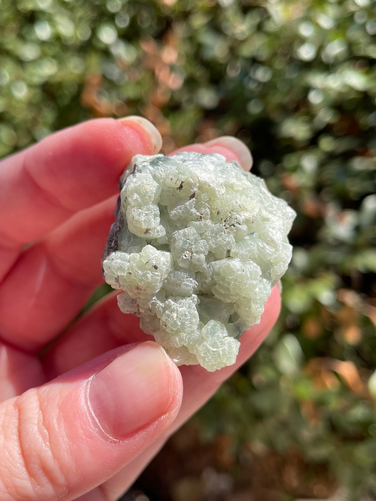 Prehnite with Epidote Crystal Clusters