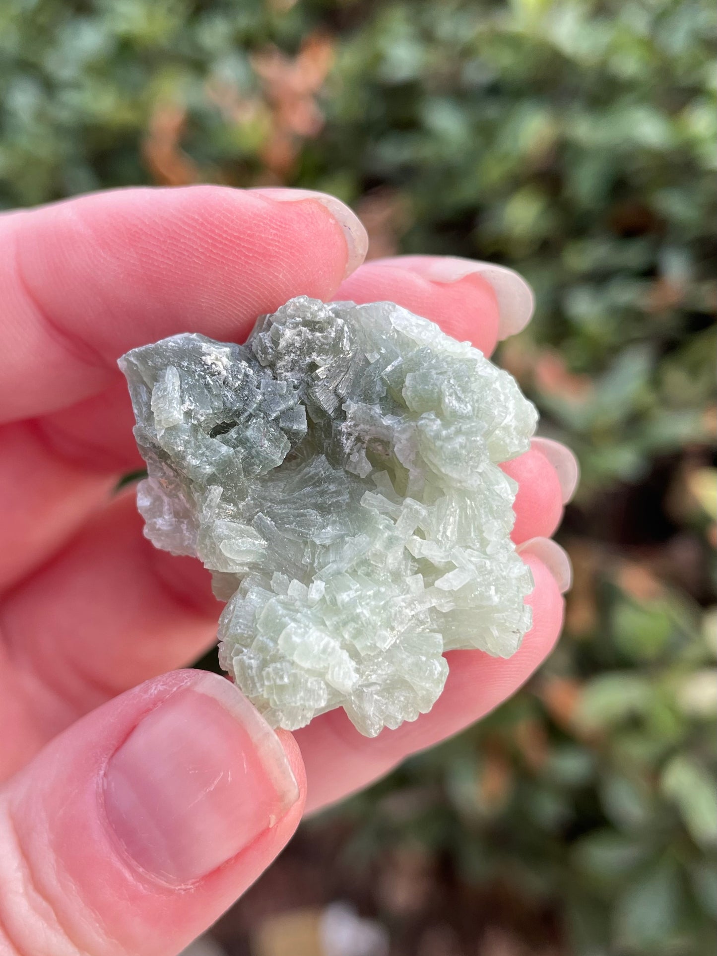 Prehnite with Epidote Crystal Clusters